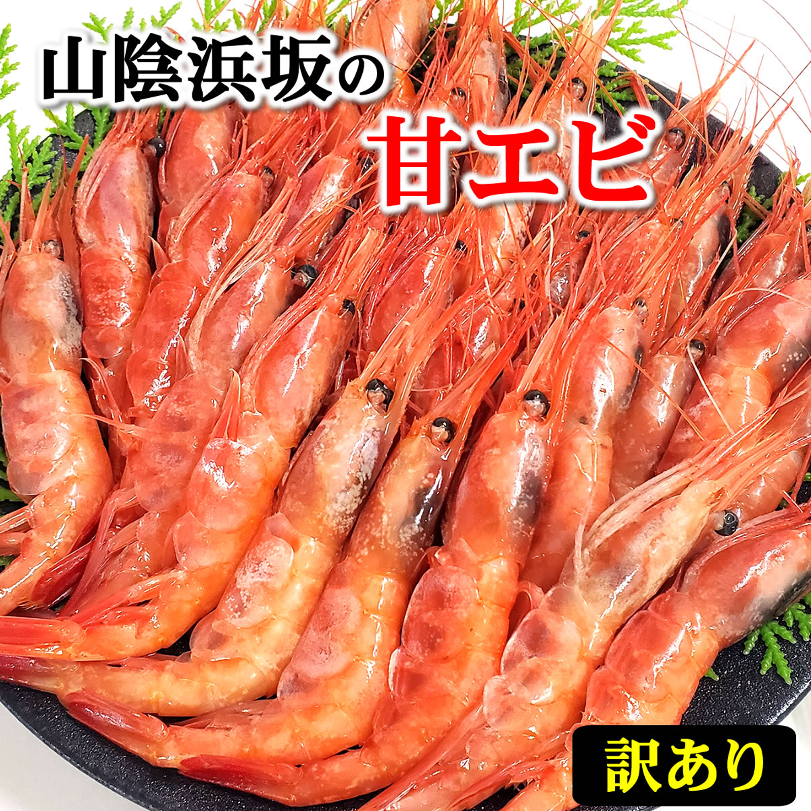 訳あり】山陰の甘エビ（冷凍）500g 最もおいしい時期の甘えび 甘海老