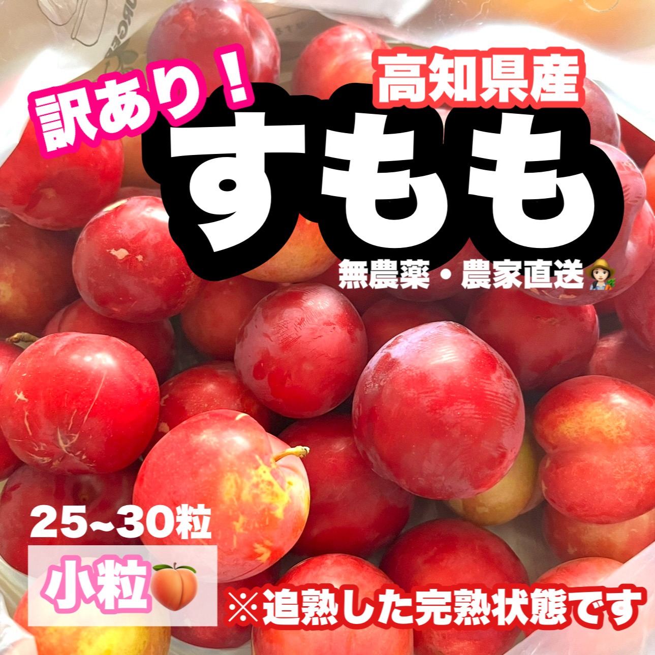 大石早生の産地直送食材一覧（通販・お取り寄せ）-産直アウル