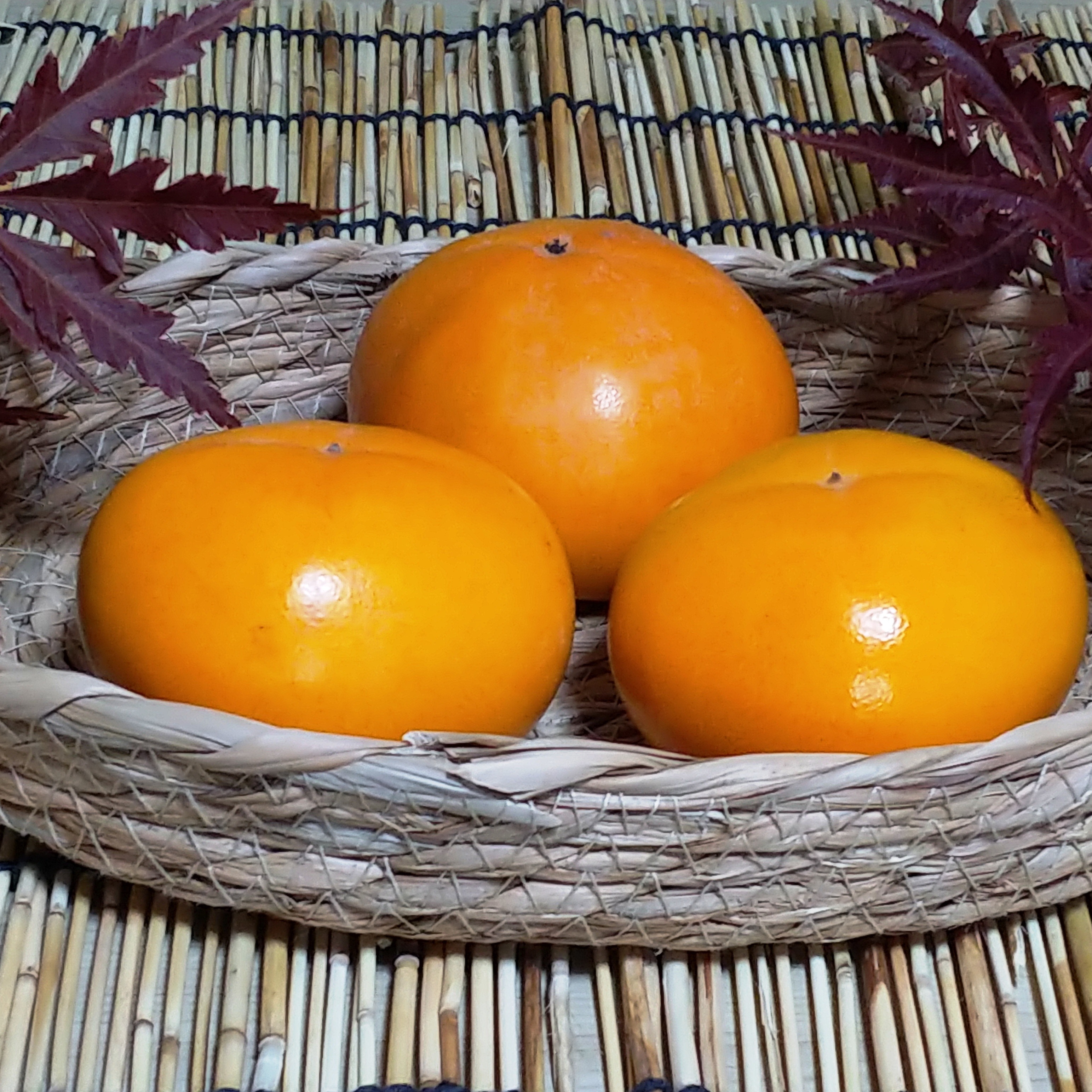 1，庄内柿たねなし（山形県鶴岡産）20kg 渋抜き済み（訳あり品） 減農薬栽培】種なし・渋抜き済 庄内柿 サイズ：S 約5kg（約31個
