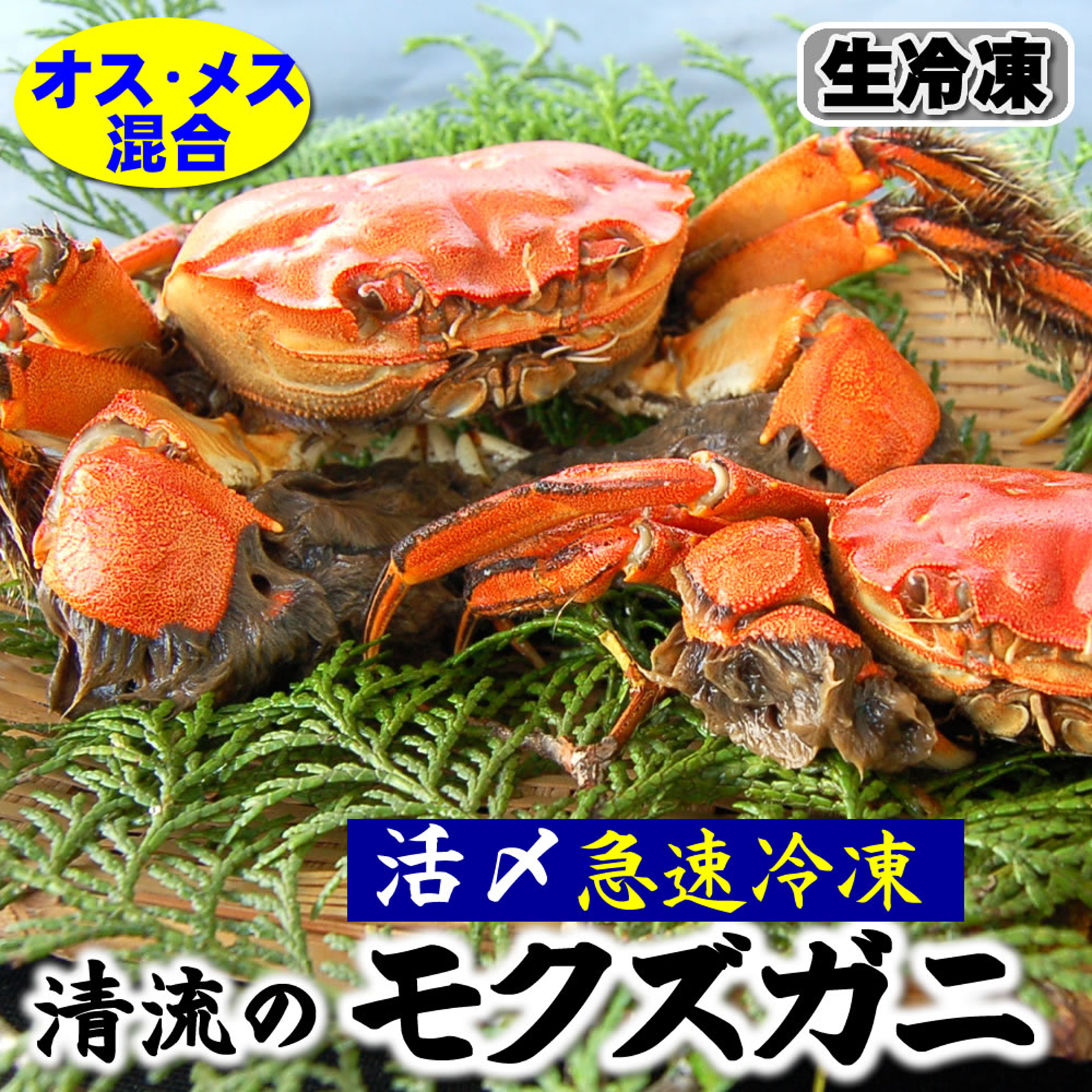 新鮮 生 ワタリガニ メス １kg（２ー４尾前後） 九州・佐賀産 - 魚介類