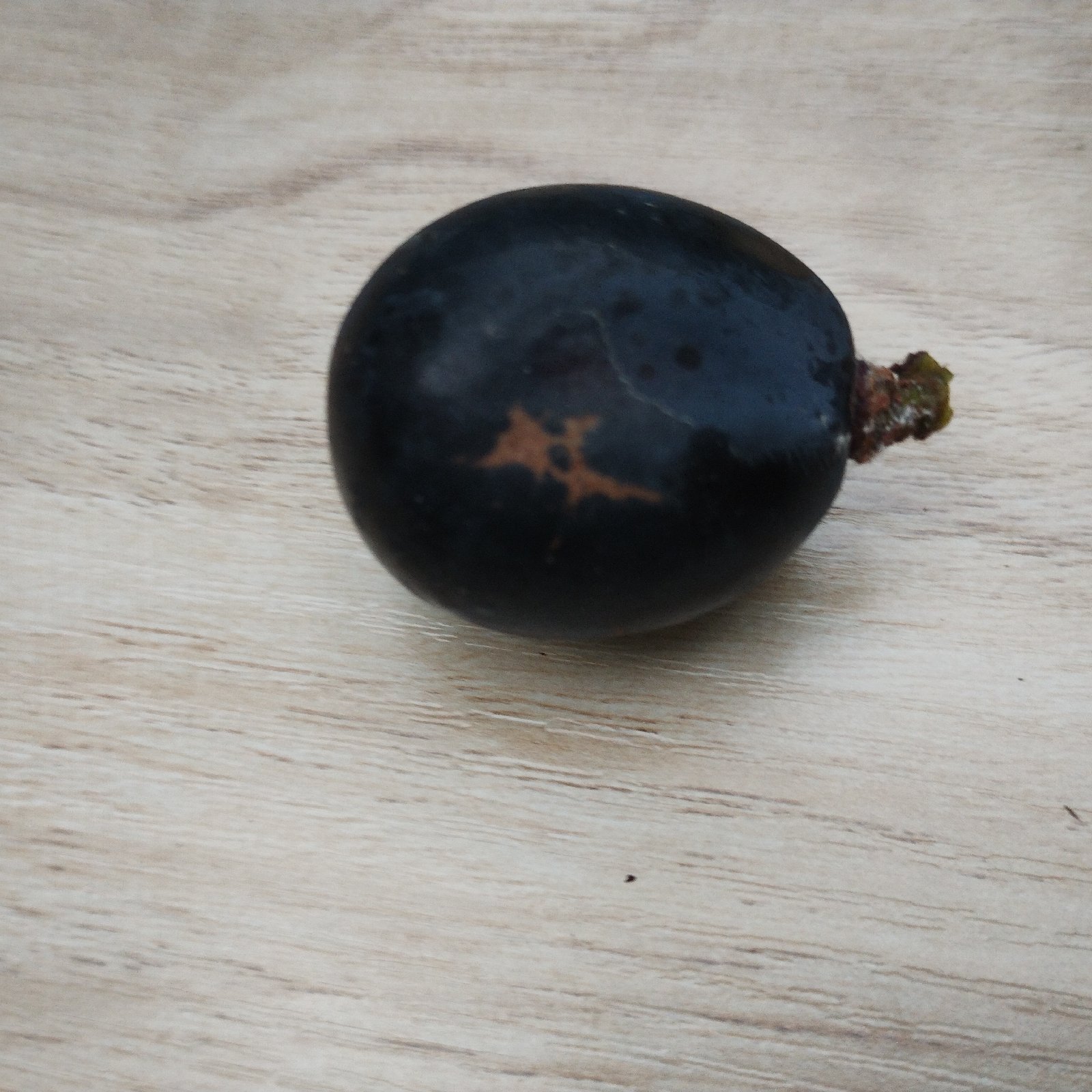 ナガノパープル5kg 詰み落としバラ粒【冷蔵発送】2024-39 ナガノパープル5kg 詰み落としバラ粒【冷蔵発送】2024-39