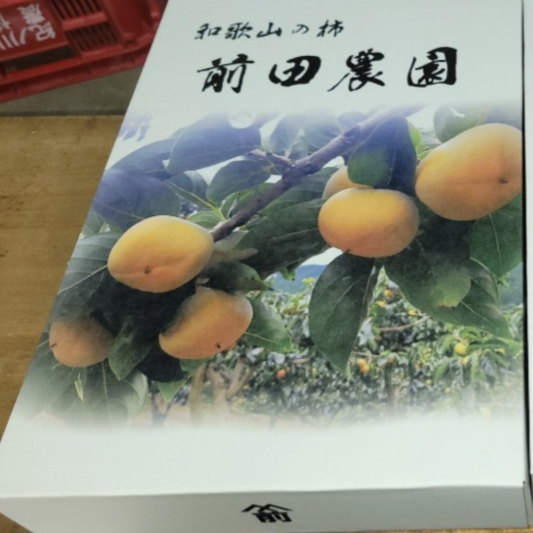 和歌山県産 20kg たねなし柿 刀根早生柿 ご家庭用 【公式通販】
