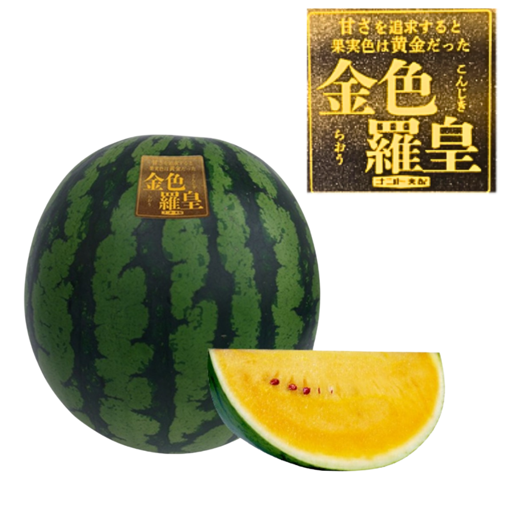 旬祭限定】《予約》尾花沢大玉スイカ 金色羅王 L 1玉 6~7kg 糖度17度
