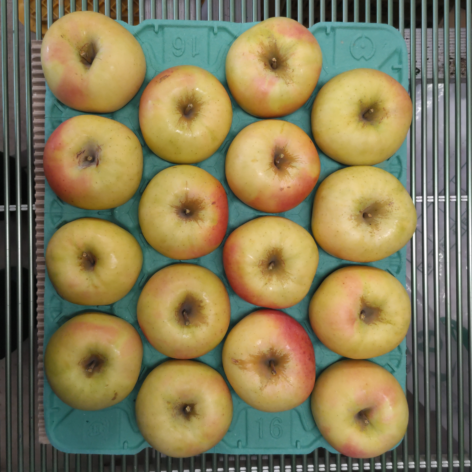 りんご ぐんま名月 大玉 10kg | 果物/りんご 産直アウル 農家から直接