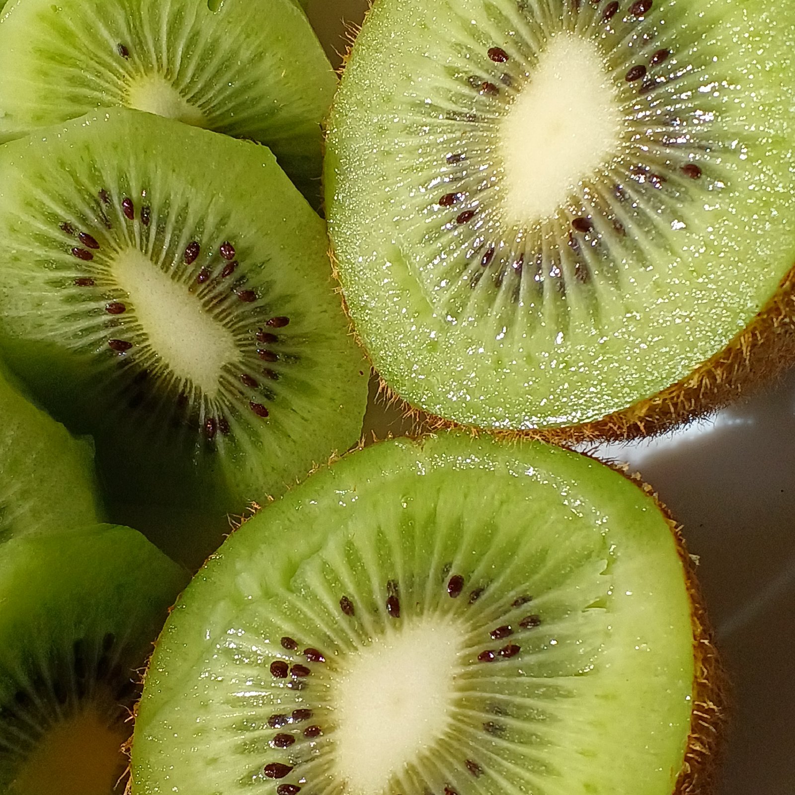 b8ea3dbc6512e29b52a8f73c6ef76a