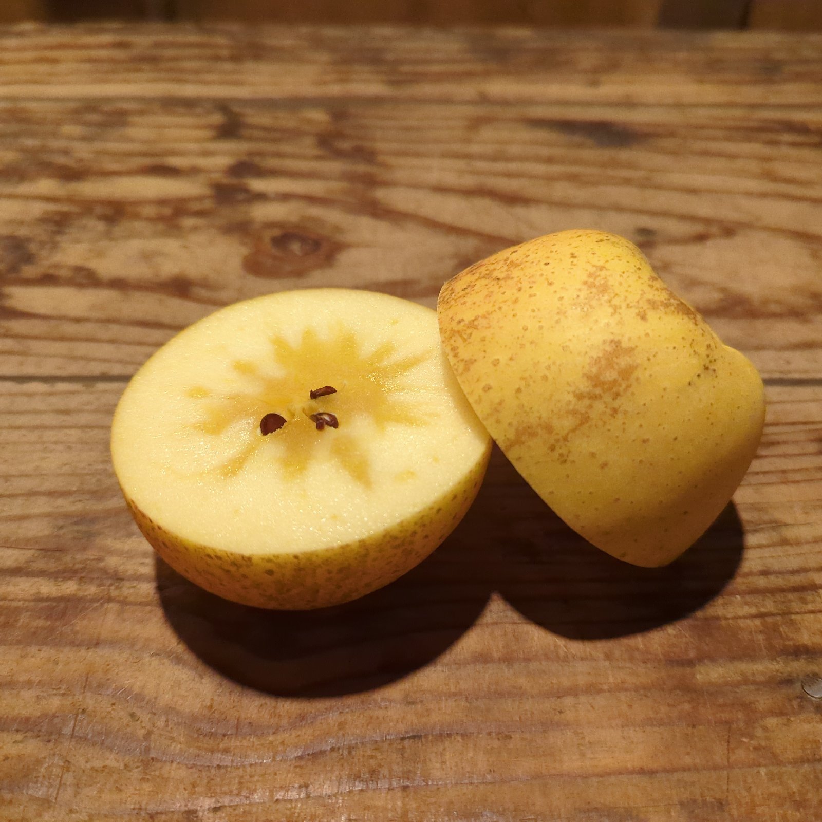 甘系の最高峰】サンはるか5kg箱 ｜ 果物/りんご 産直アウル 農家・漁師