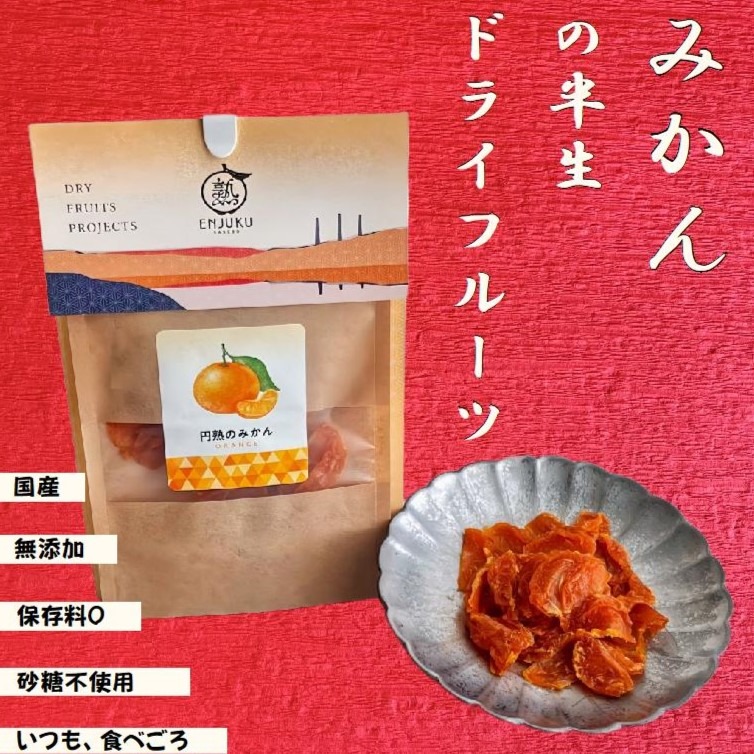 ギフト オレンジ ドライフルーツ 無添加 健康 元気のたね お菓子 乾燥果実 果物 みかん 美容 フルーツ 国産 砂糖不使用 ノンオイル 500g 送料無料