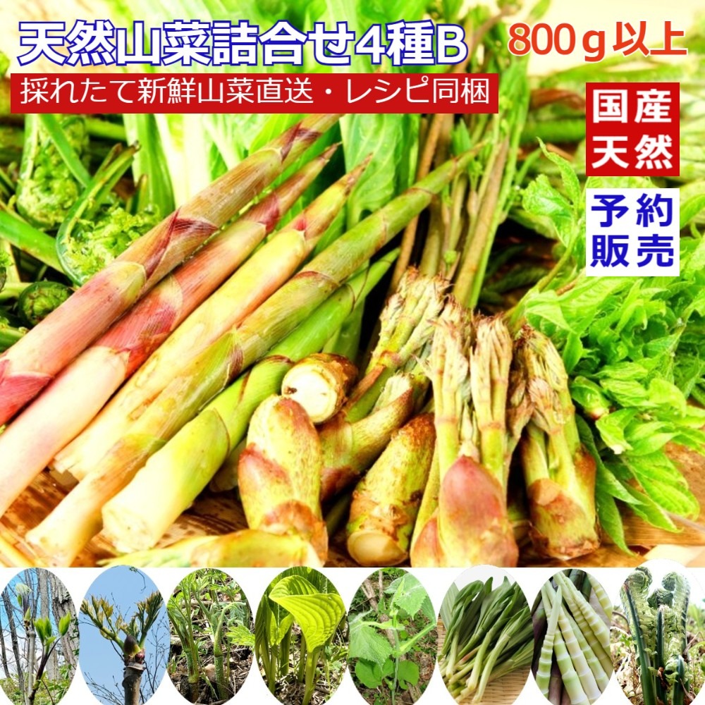 天然山菜4種以上詰合せB 800g以上 山形産《予約受付》 ｜ 野菜/山菜