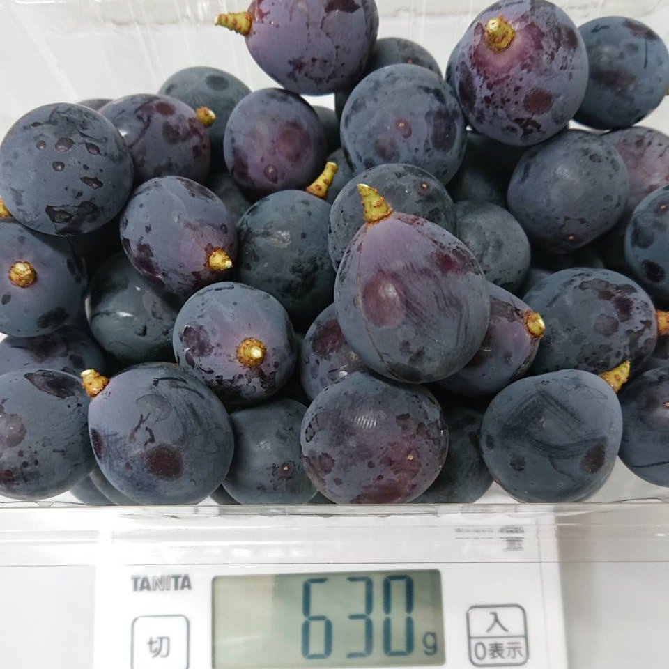 山梨県産 種なしピオーネ 家庭用粒パック（600g×2パック） ｜ 果物 