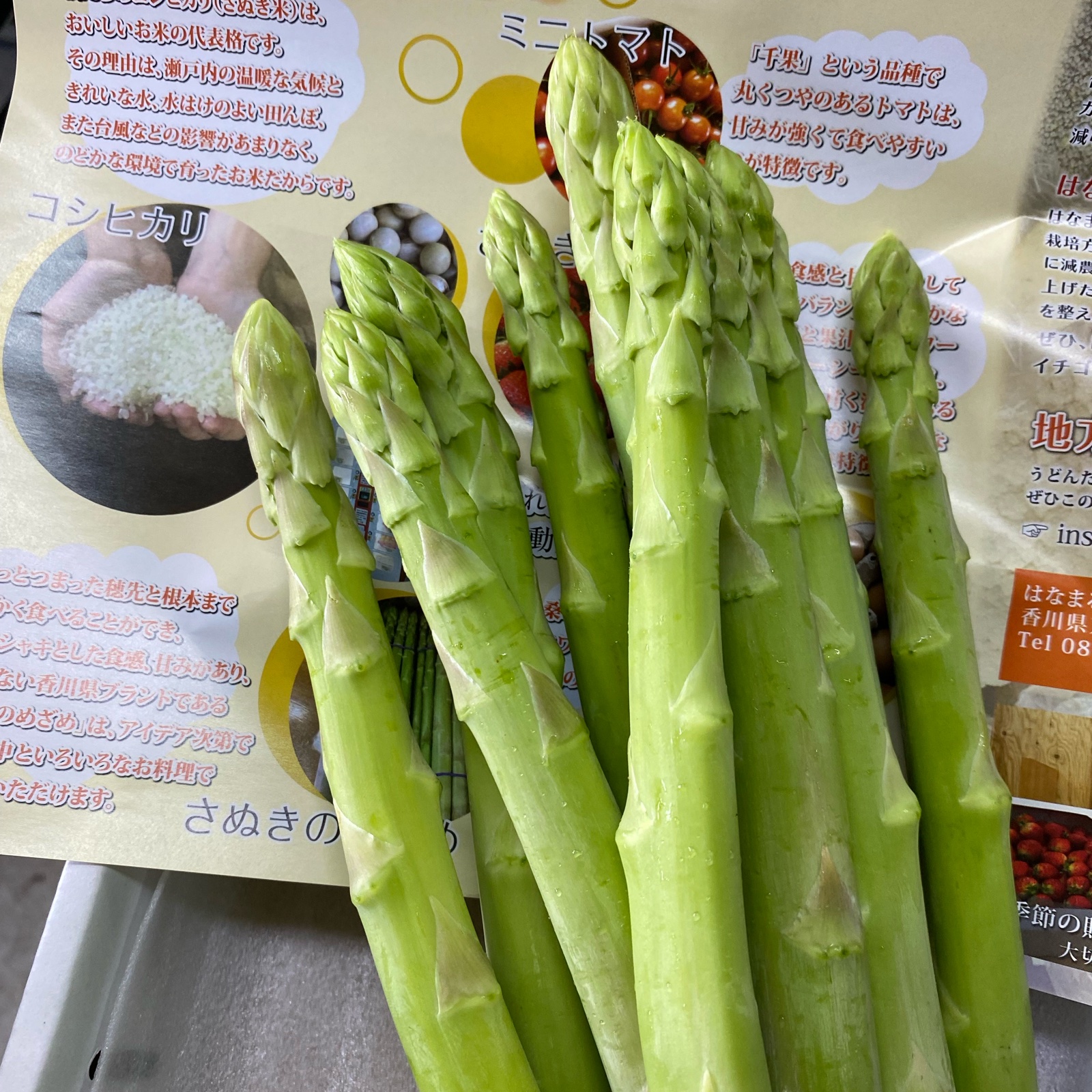 はなまる農園のめちゃ太　さぬきのめざめ　アスパラ３キロ　贈答用（秀品） はなまる農園のめちゃ太さぬきのめざめアスパラ3キロ贈答用（秀品）