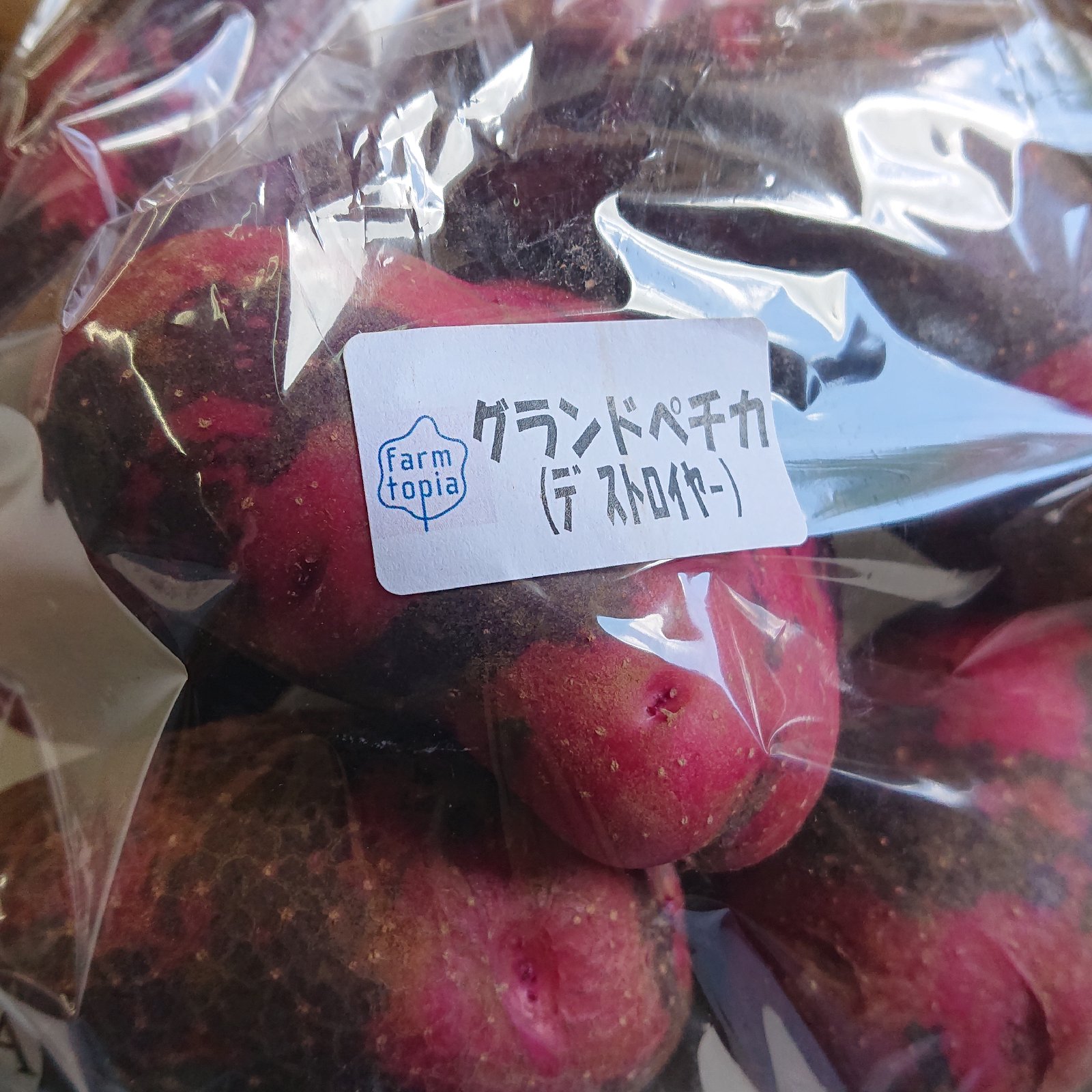 北海道産雪室じゃがいもグランドペチカ20 | 野菜/じゃがいも 産直