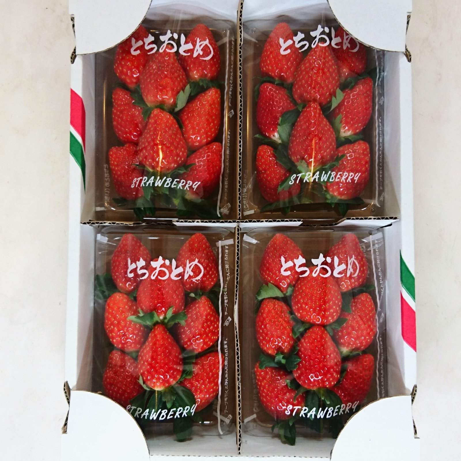 農家直送　とちおとめ　大粒いちご苗　100株セット 農家直送 とちおとめ 大粒いちご苗 100株セット 農家直送 とちおとめ