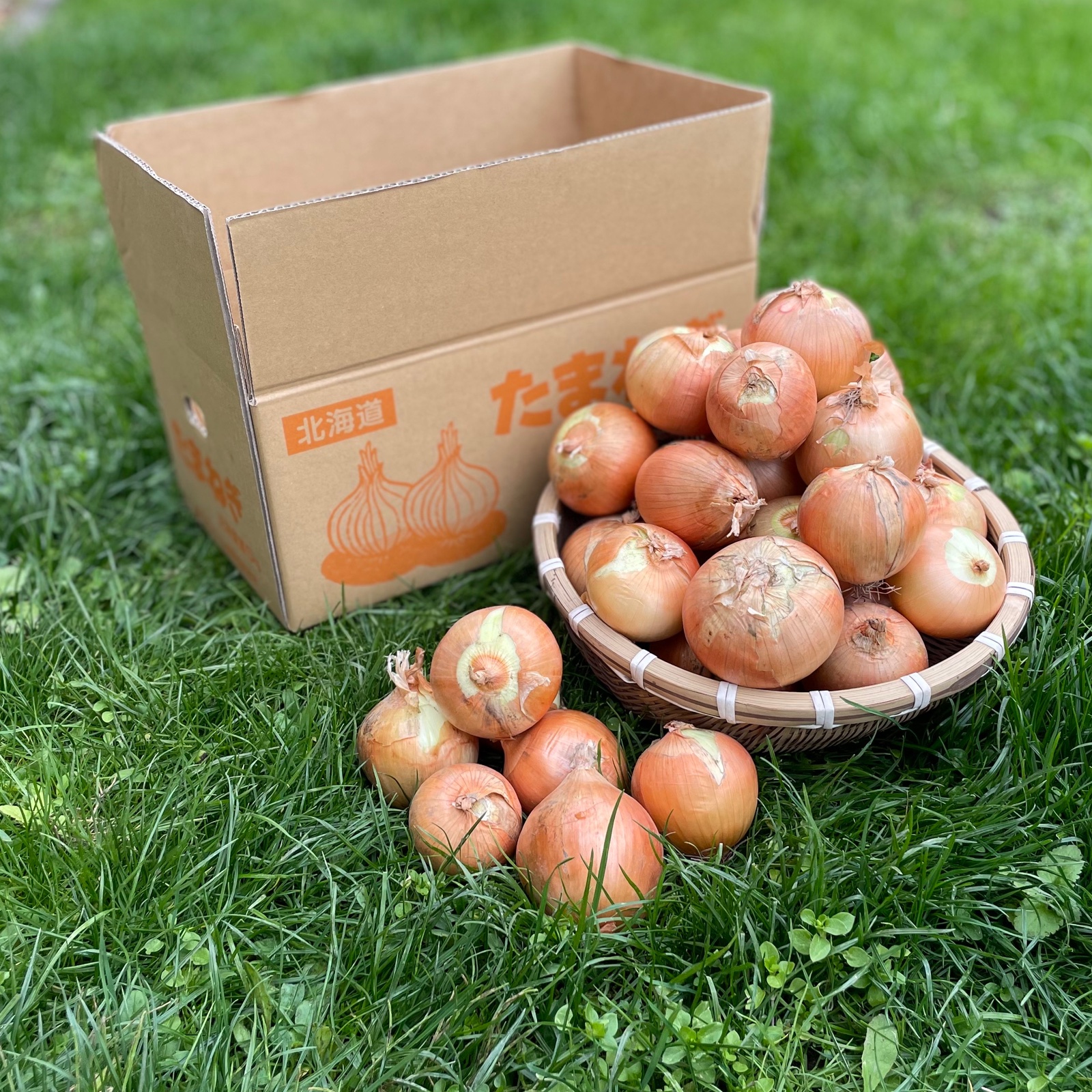 無農薬‼︎北海道の栄養たっぷり美味しい玉ねぎ！ | 野菜/玉ねぎ