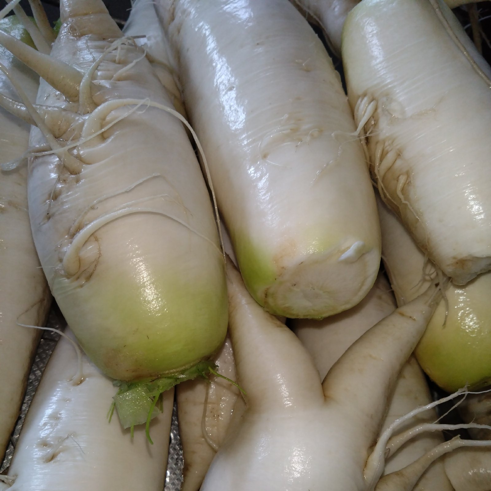 食品 干し大根 箱込み約30kg 安心決済
