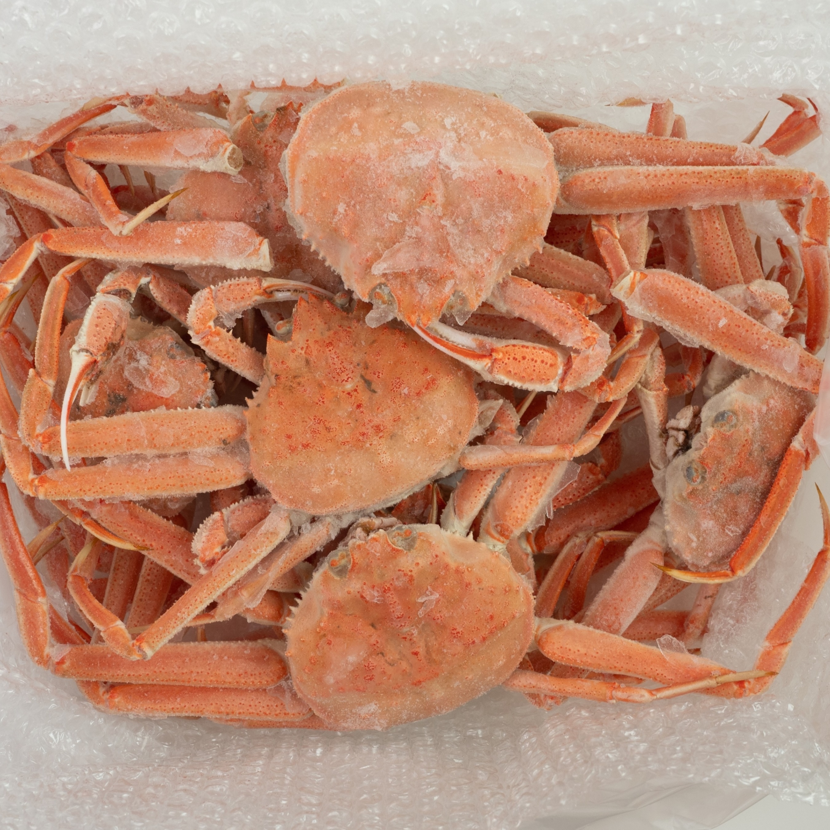 オニキス1.5kg×4袋、カレボーホワイト2.5kg