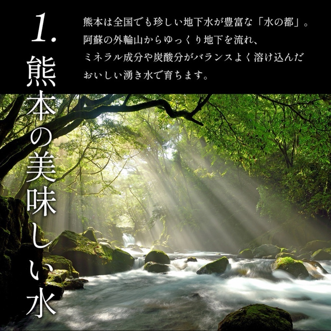 ミニトマト 4キロ 野菜 熊本 おやつ 弁当 おかず ミネラル リコピン