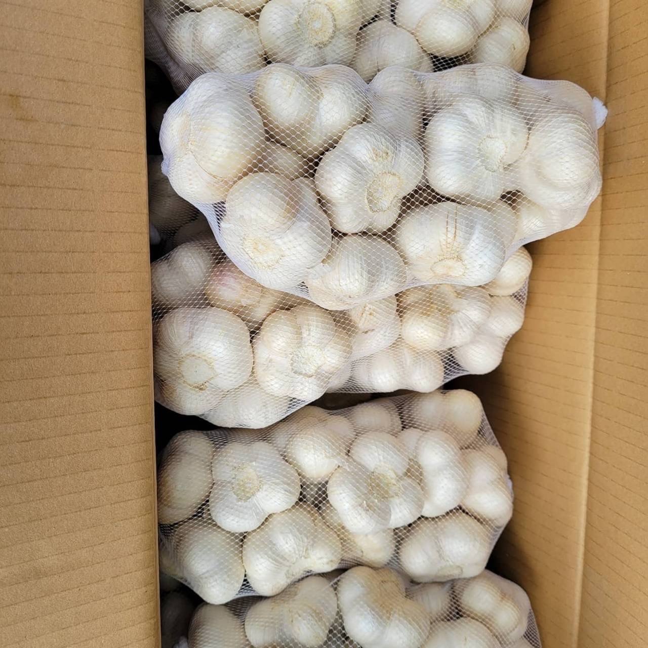 青森県産福地ホワイト6片 | 野菜/にんにく 産直アウル 農家から直接