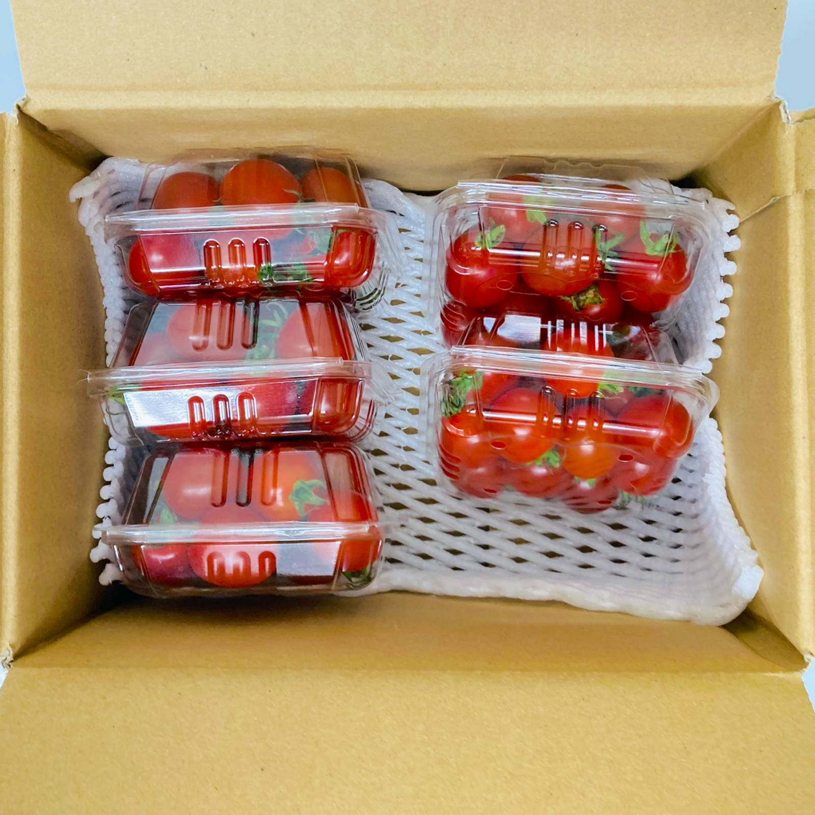 九州 熊本産 ミニトマト 約1kg 5パック（200g×5）2S～2L 不揃い (002