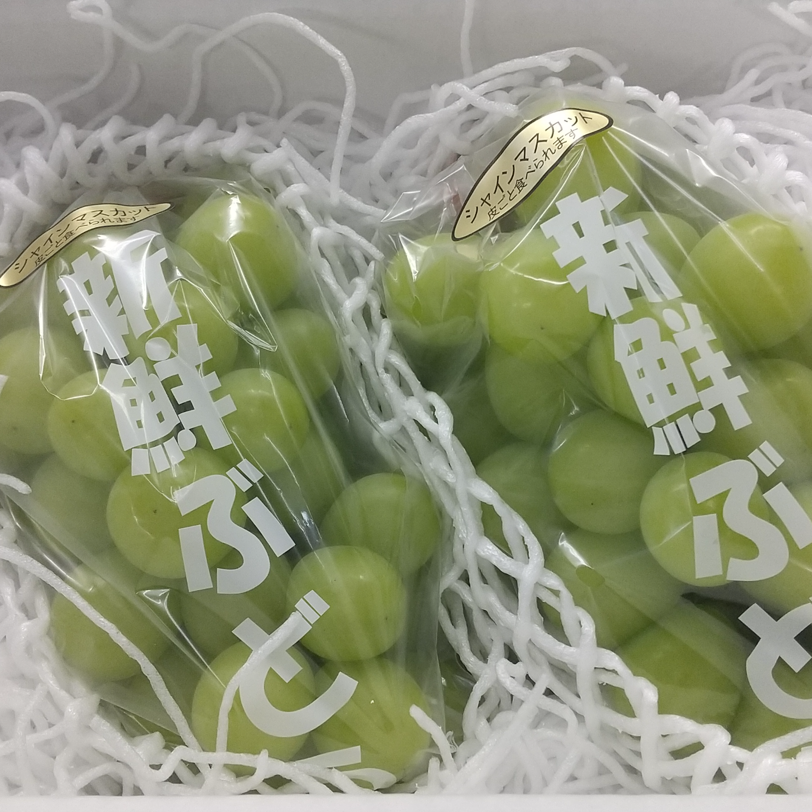 新鮮！山梨県産 シャインマスカット 約1kg 1箱 （2房-3房程度） | 果物