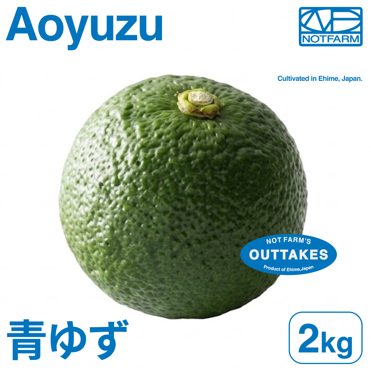 ハウス青柚子 ◎サイズ混合 2kg 美味しさそのまま】訳あり青ゆず2kg 愛媛県産 青柚子 BLUE YUZU
