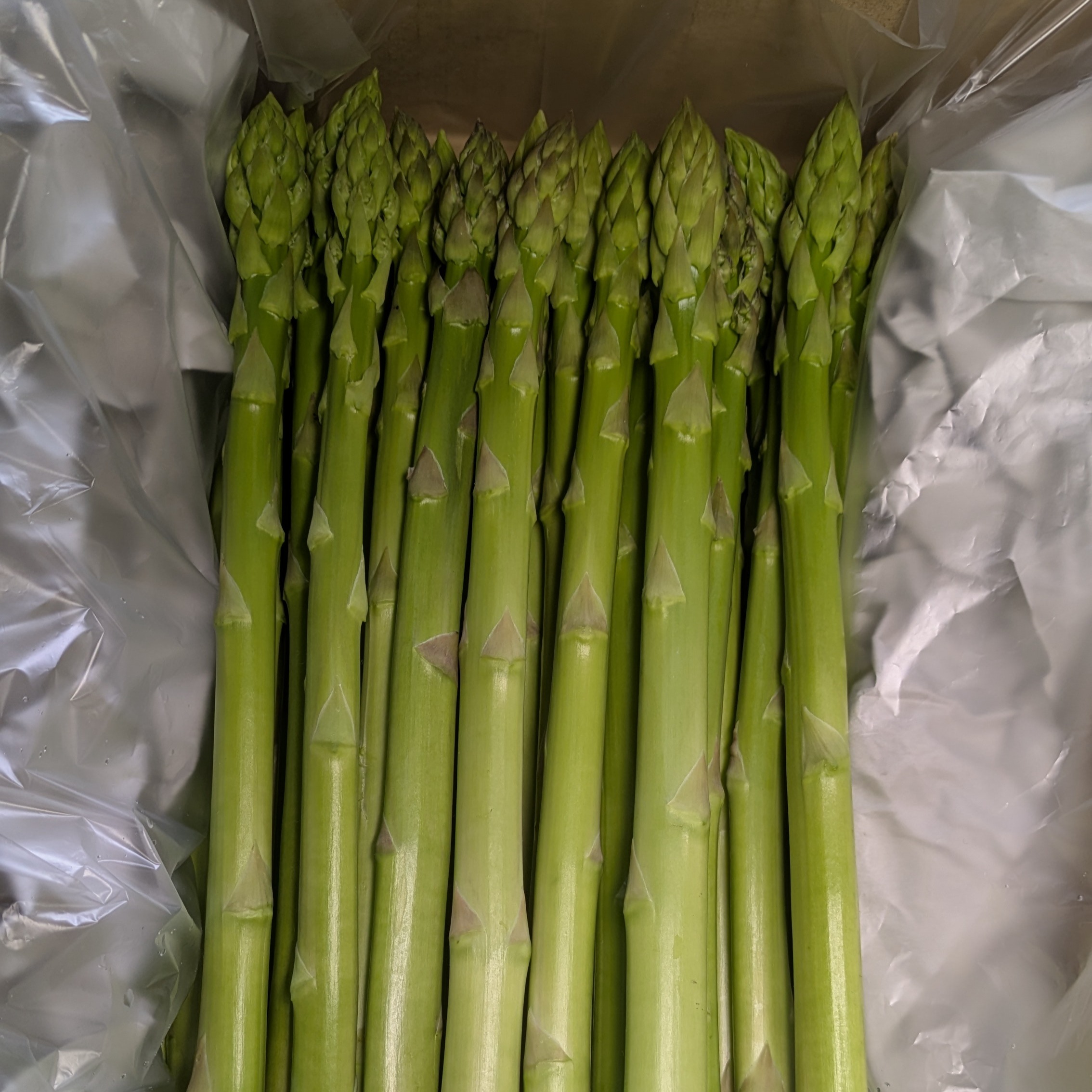 うえの農園の朝採りグリーンアスパラガス サイズ：L 1kg ｜ 野菜