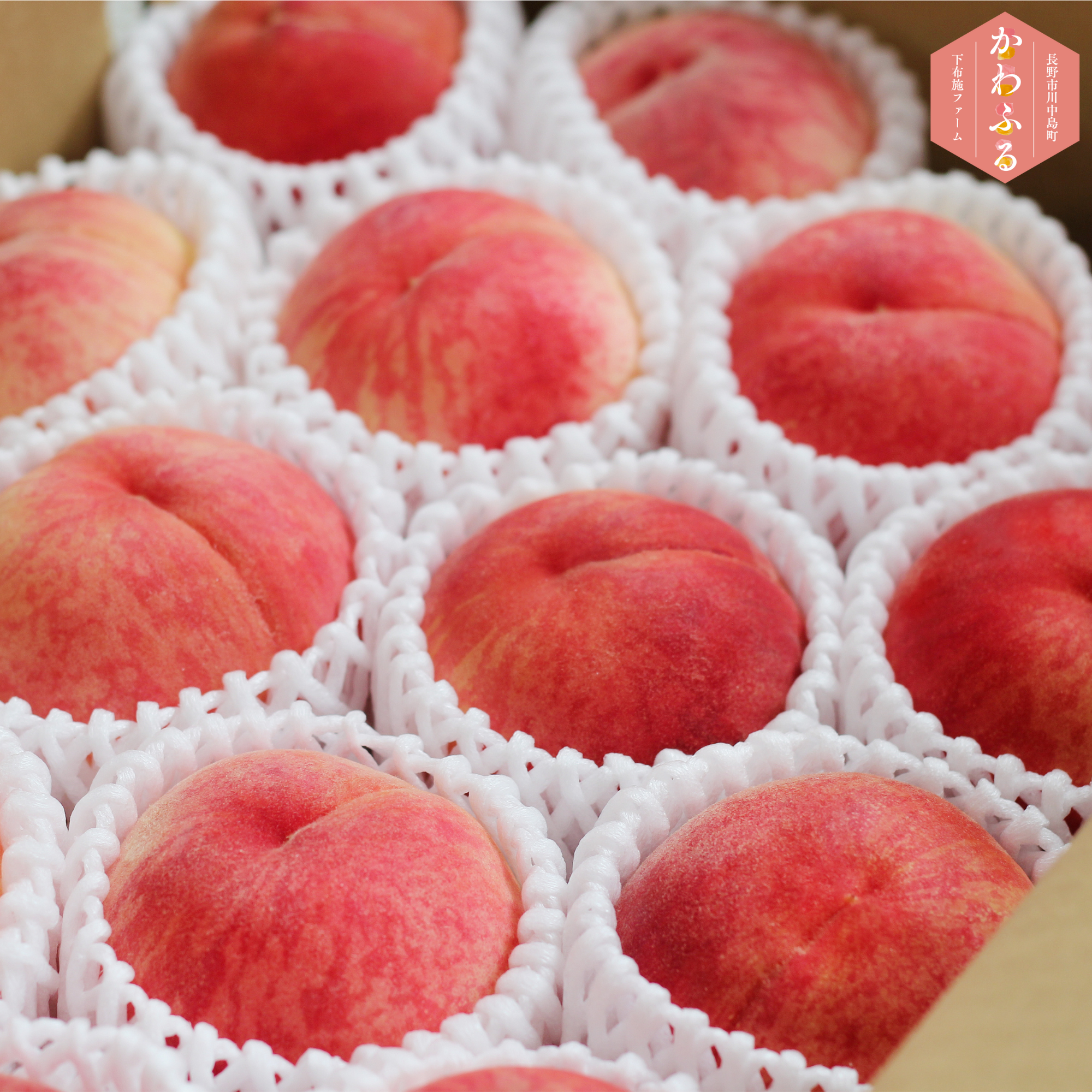 【8/29まで２箱まとめ売り】訳あり川中島白桃!!