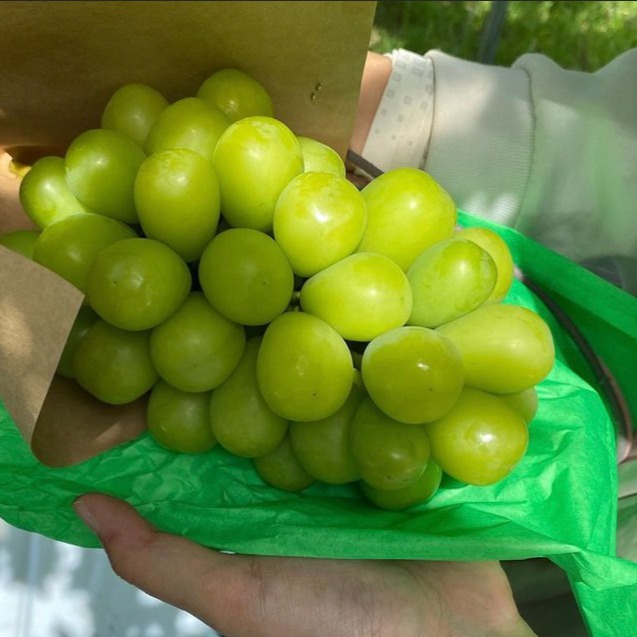 夏ギフト】甘みたっぷり「あづましずく」＋おまかせぶどう2種 ｜ 果物