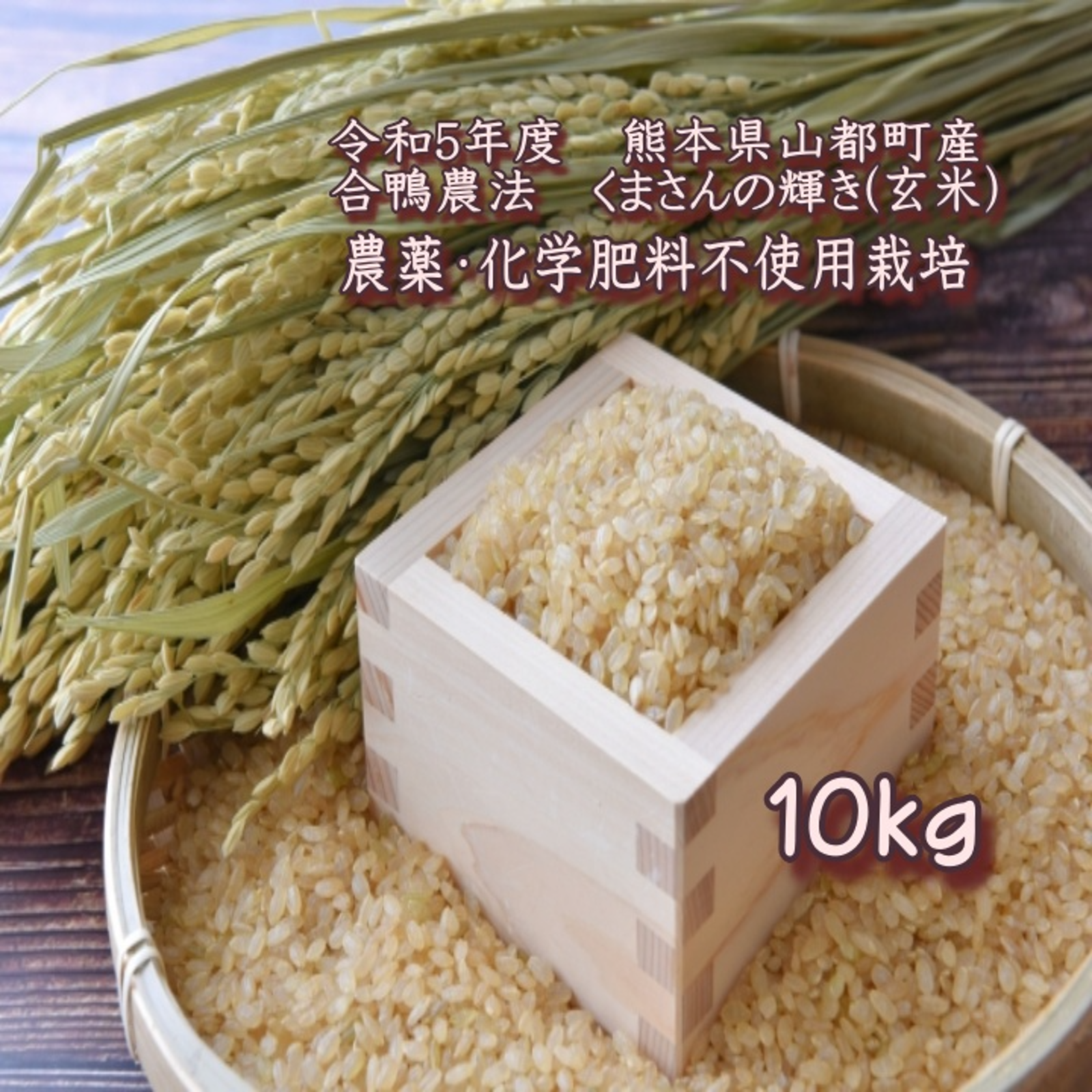 あきたこまち玄米10kg（合鴨農法・農薬化学肥料不使用） 令和6年産 令