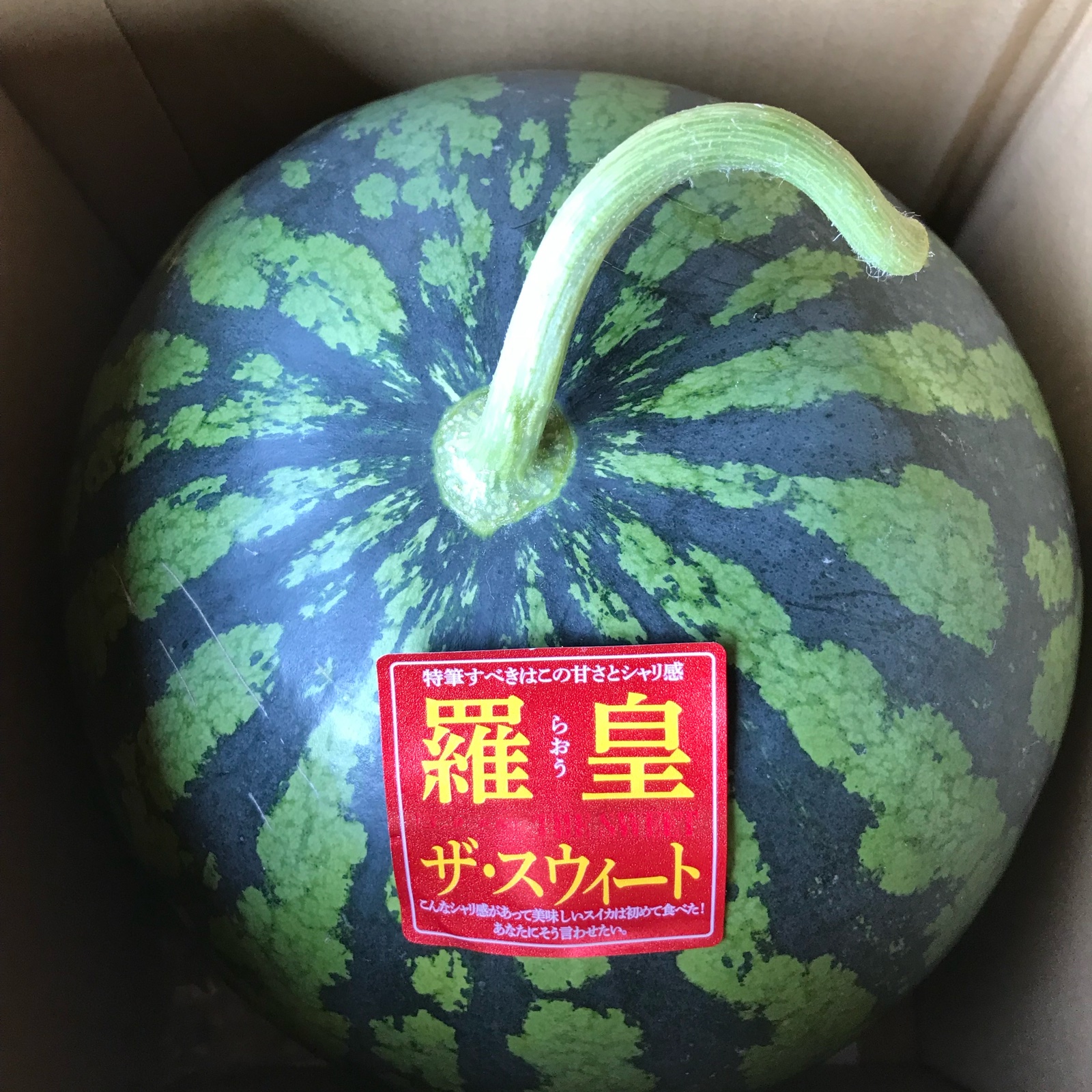 羅皇ザスウィートLサイズ1玉入り ｜ 果物/スイカ 産直アウル 農家