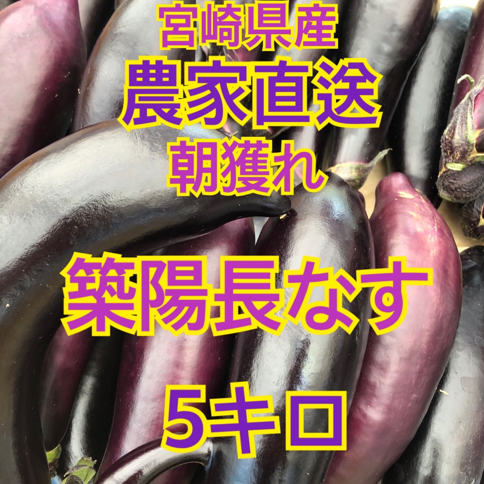 食品 【たき様専用】野菜 なす 20キロ 宮崎県産