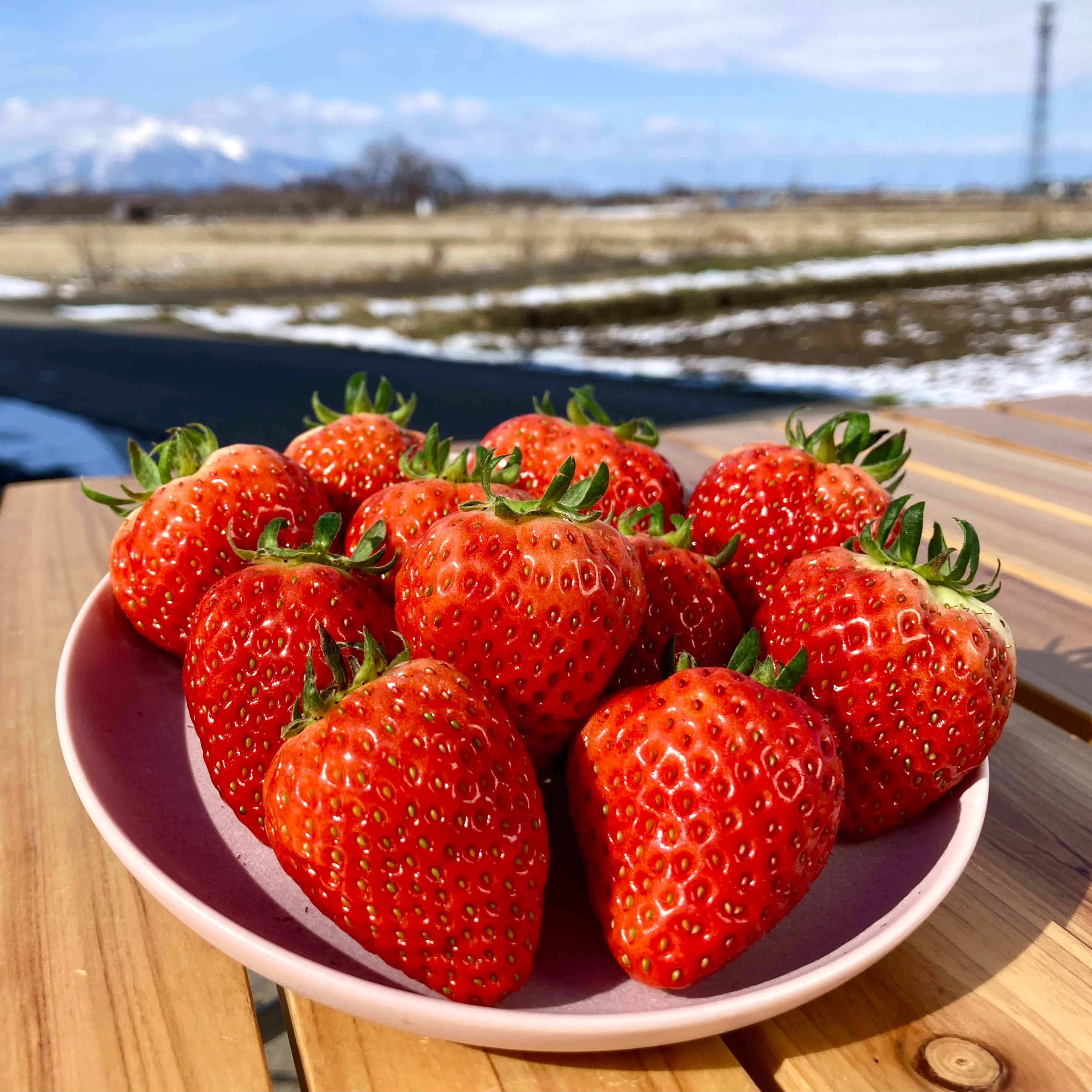 直売所でも大人気！「よつぼし」800g(200g×4パック) 完熟/朝摘み/直送