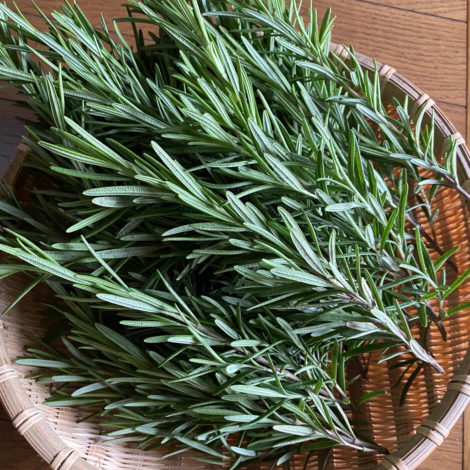無農薬ローズマリー 1kg | 野菜/ハーブ 産直アウル 農家から直接