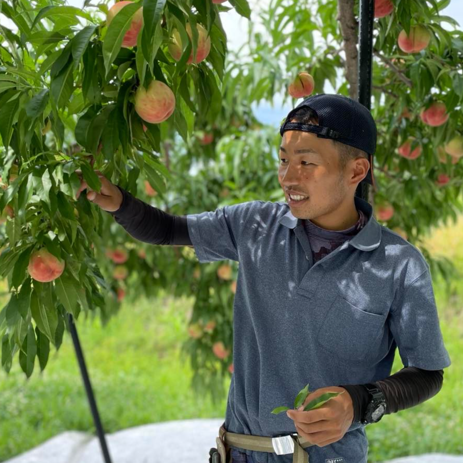 果樹園~die Freude~（山形県・大江町）｜生産者詳細｜産直アウル