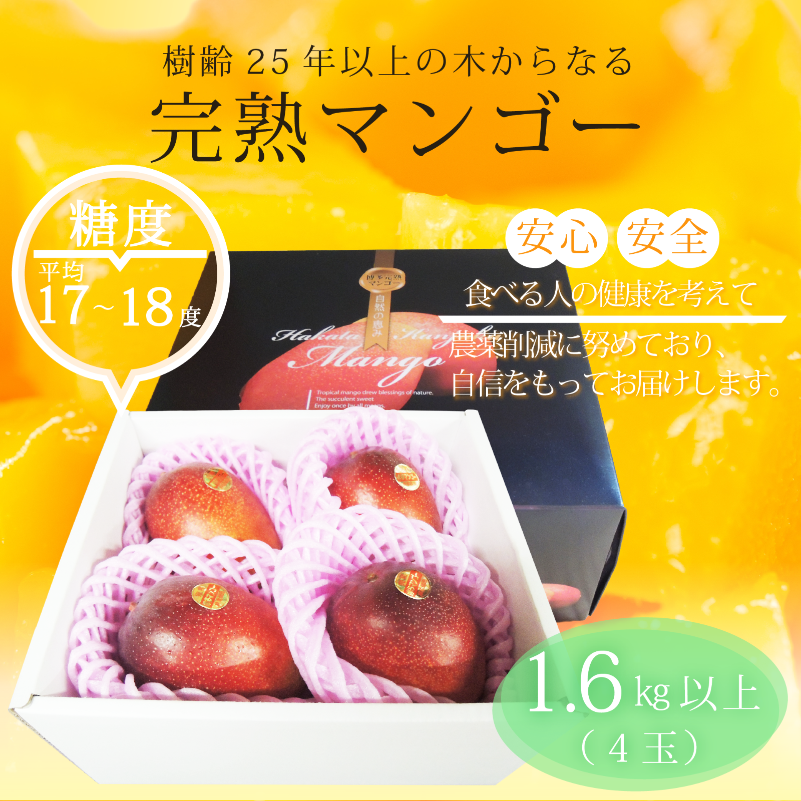 産直アウル限定】【夏ギフト】樹齢25年以上の木からなる糖度約17～18度