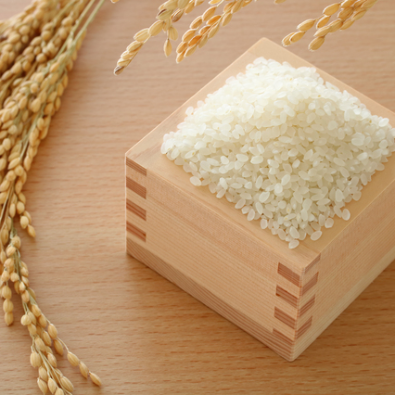 令和7年北海道産 農家直送ななつぼし | 米・穀物/米/精米 産直アウル