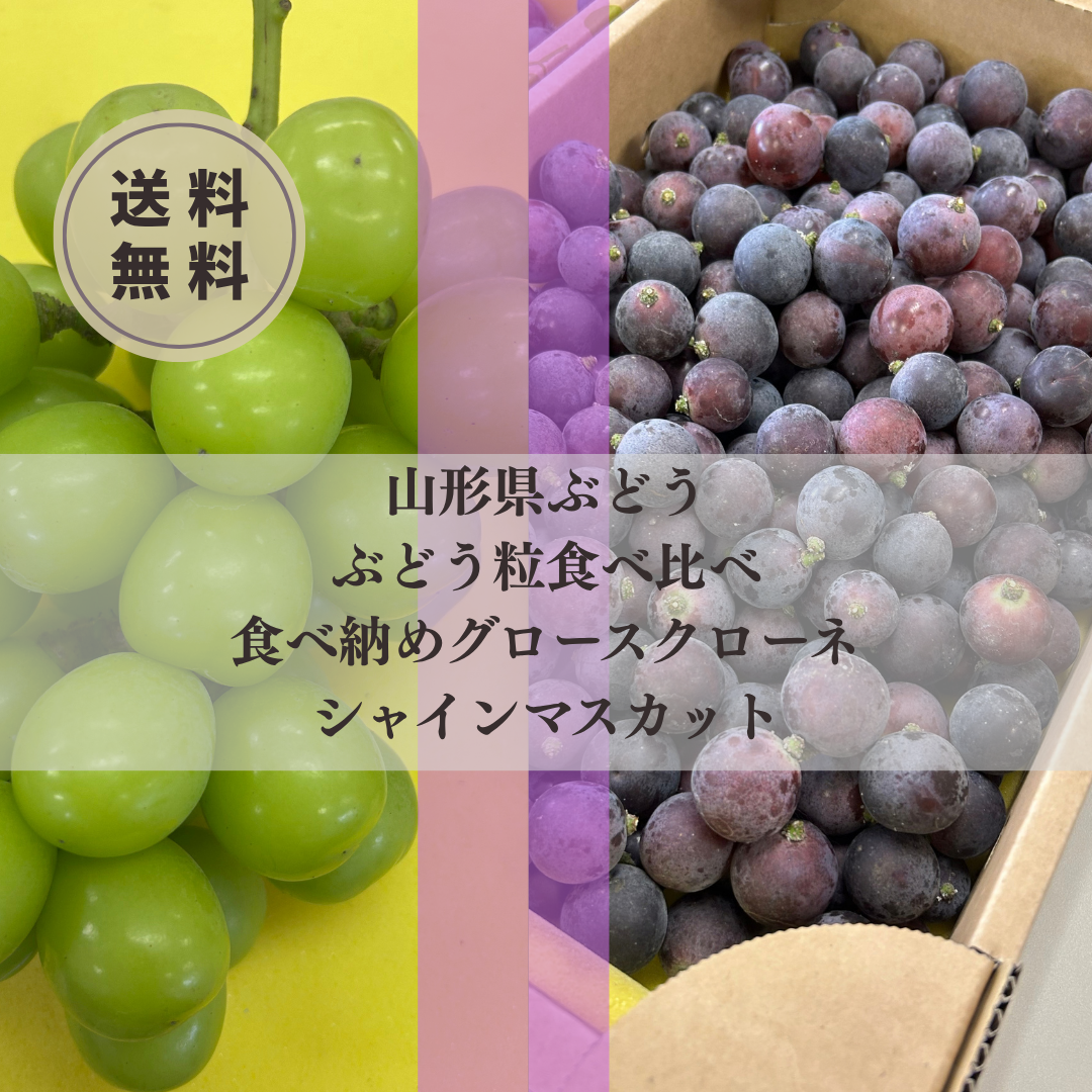 ツートン食べ比べ【シャインマスカット・グロースクローネ】粒食べ比べ