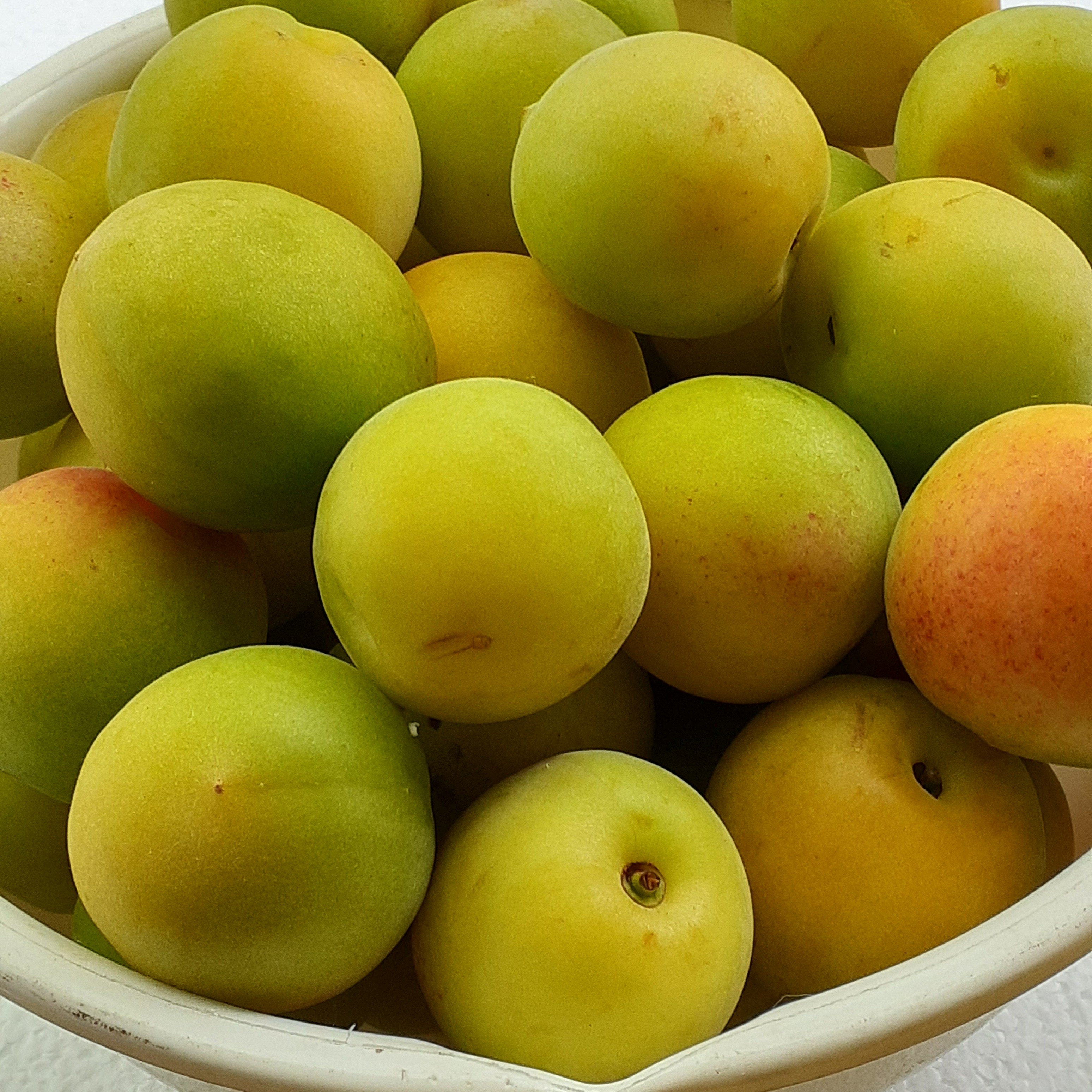 在庫調整 家庭用 サイズ混合 低農薬 小粒南高梅 約10キロ