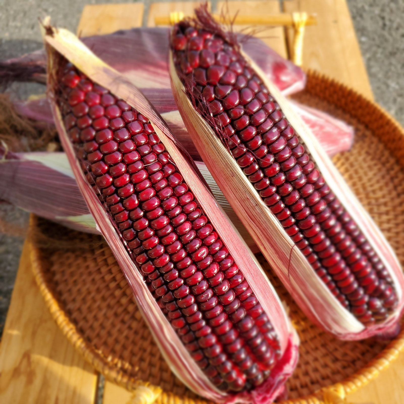 もちもちとうもろこし 6本 | 野菜/とうもろこし 産直アウル 農家から