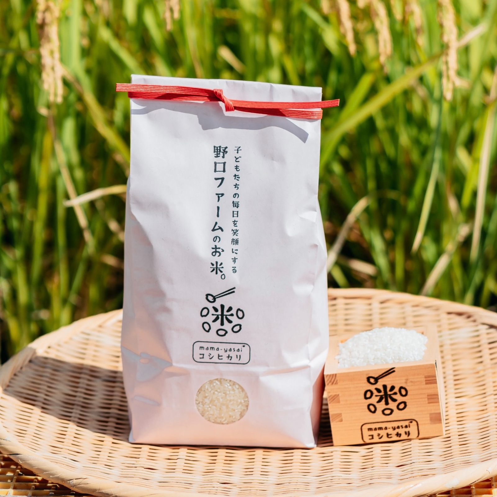 ③専用 無農薬 淡路島産 令和6年産 新米 コシヒカリ 玄米 20kg