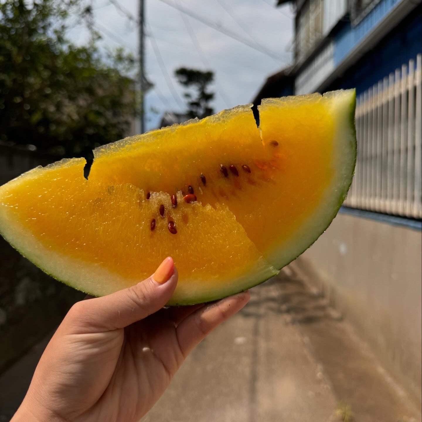 be1ebe5b51a95892421bc70288ffa4