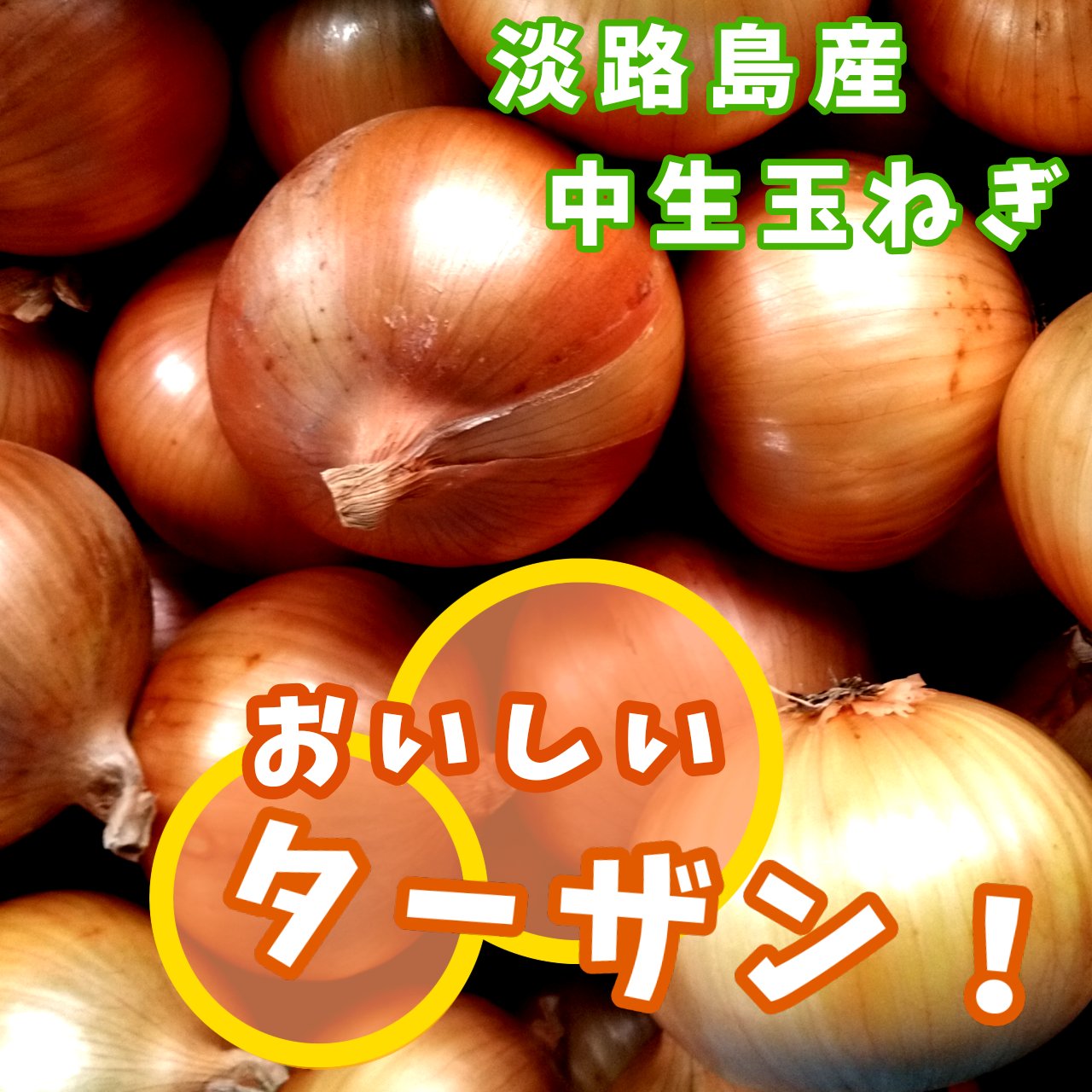 くめちゃんちのあわじ島たまねぎ（兵庫県・南あわじ市）｜生産者詳細