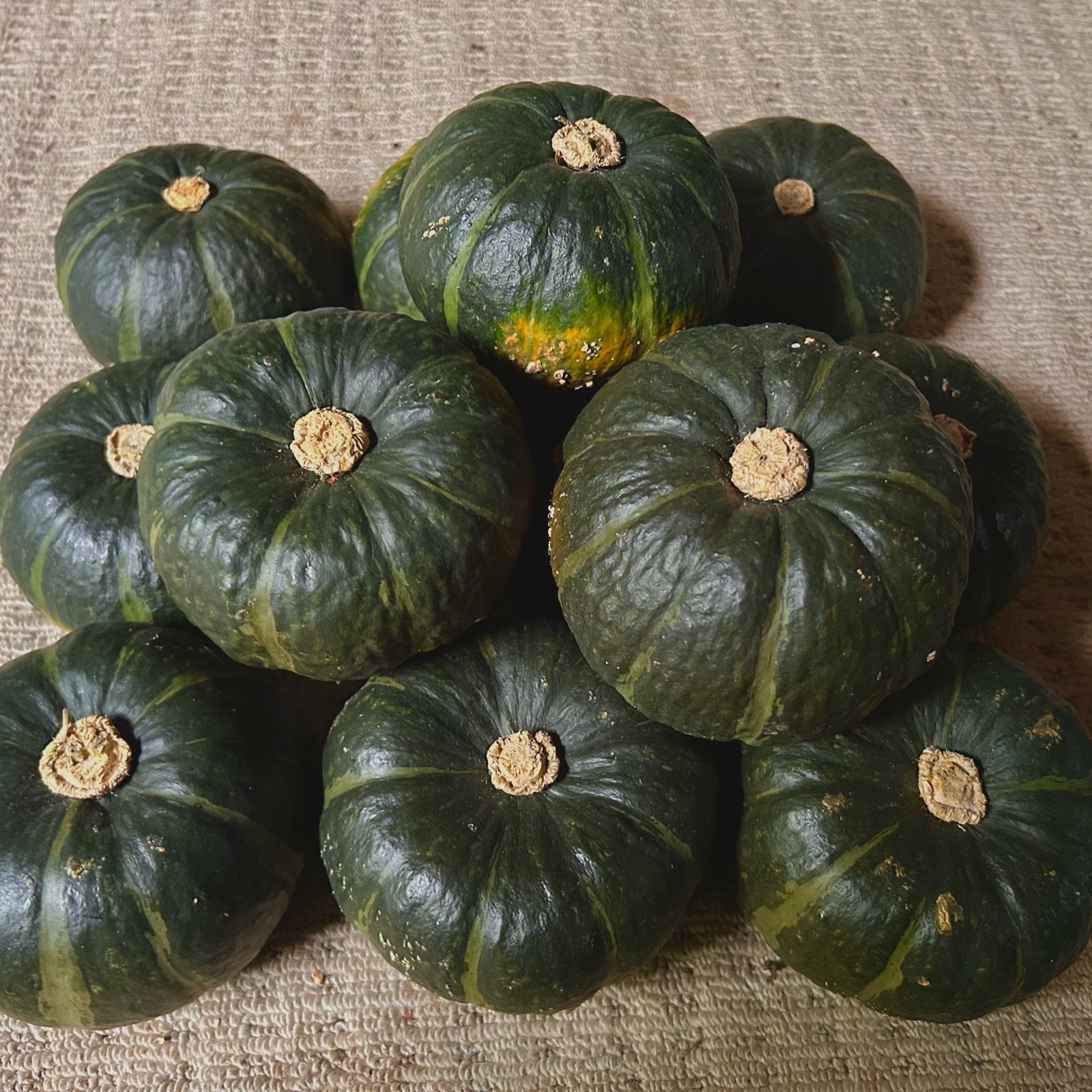 北海道産坊ちゃんかぼちゃ12玉 ｜ 野菜/かぼちゃ 産直アウル 農家