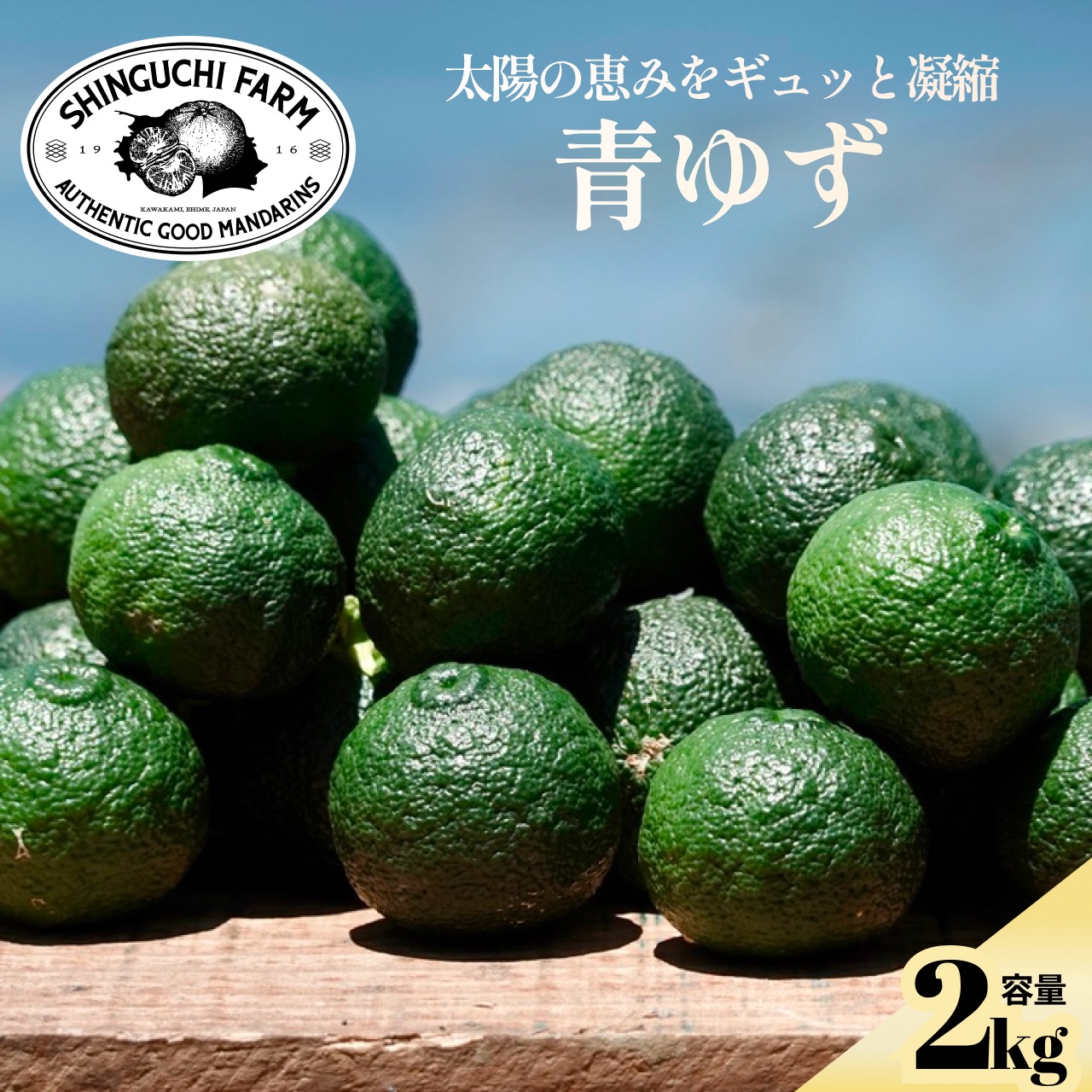 ハウス青柚子 加工用2.5kg ハウス青柚子 加工用2.5kg 【自社EC】オンラインショップ