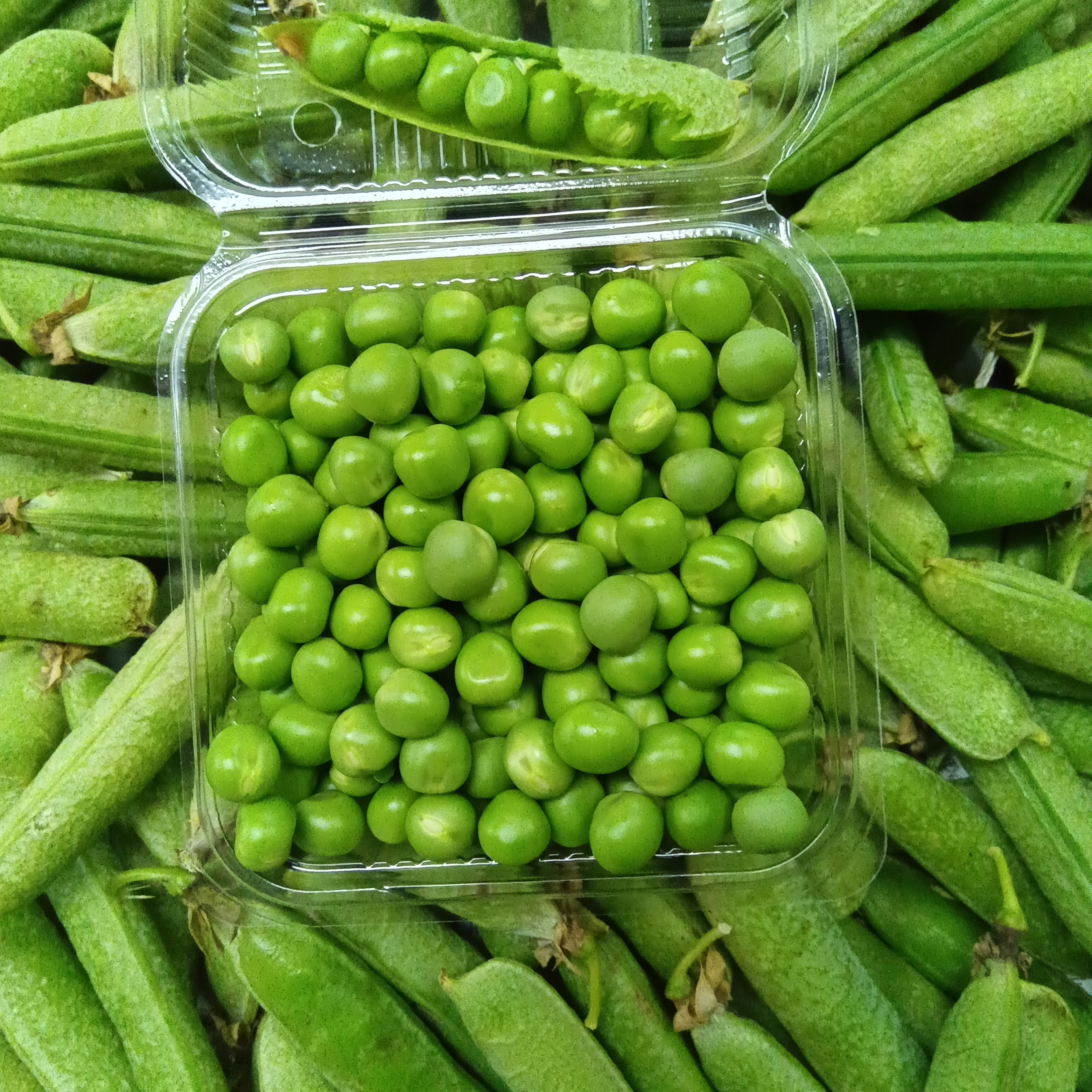 完熟剥き実生グリンピース180g×2パック ｜ 野菜/豆類 産直アウル 農家 