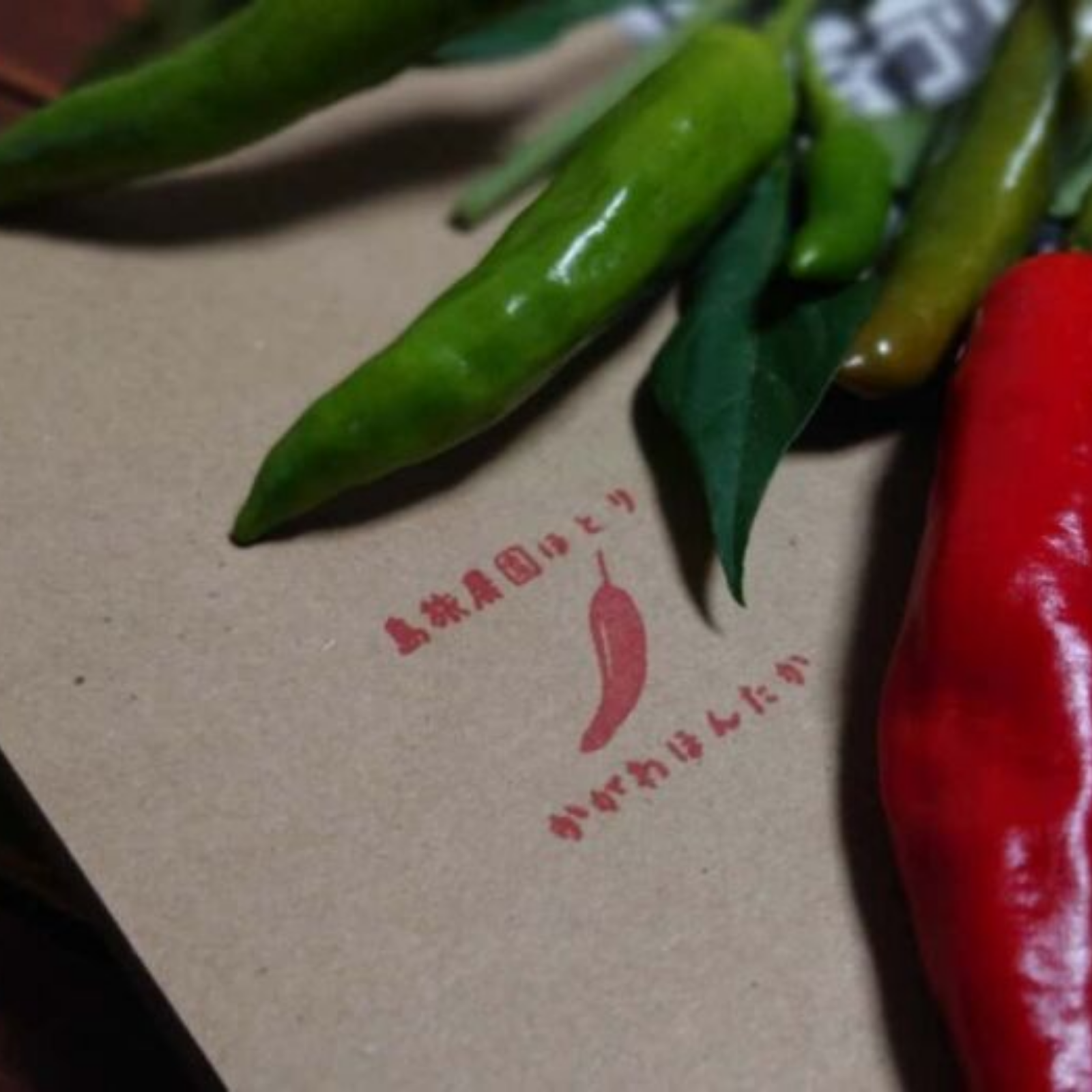 七様⭐︎青唐辛子 島唐辛子　５キロ 七様⭐︎青唐辛子 島唐辛子 5キロ