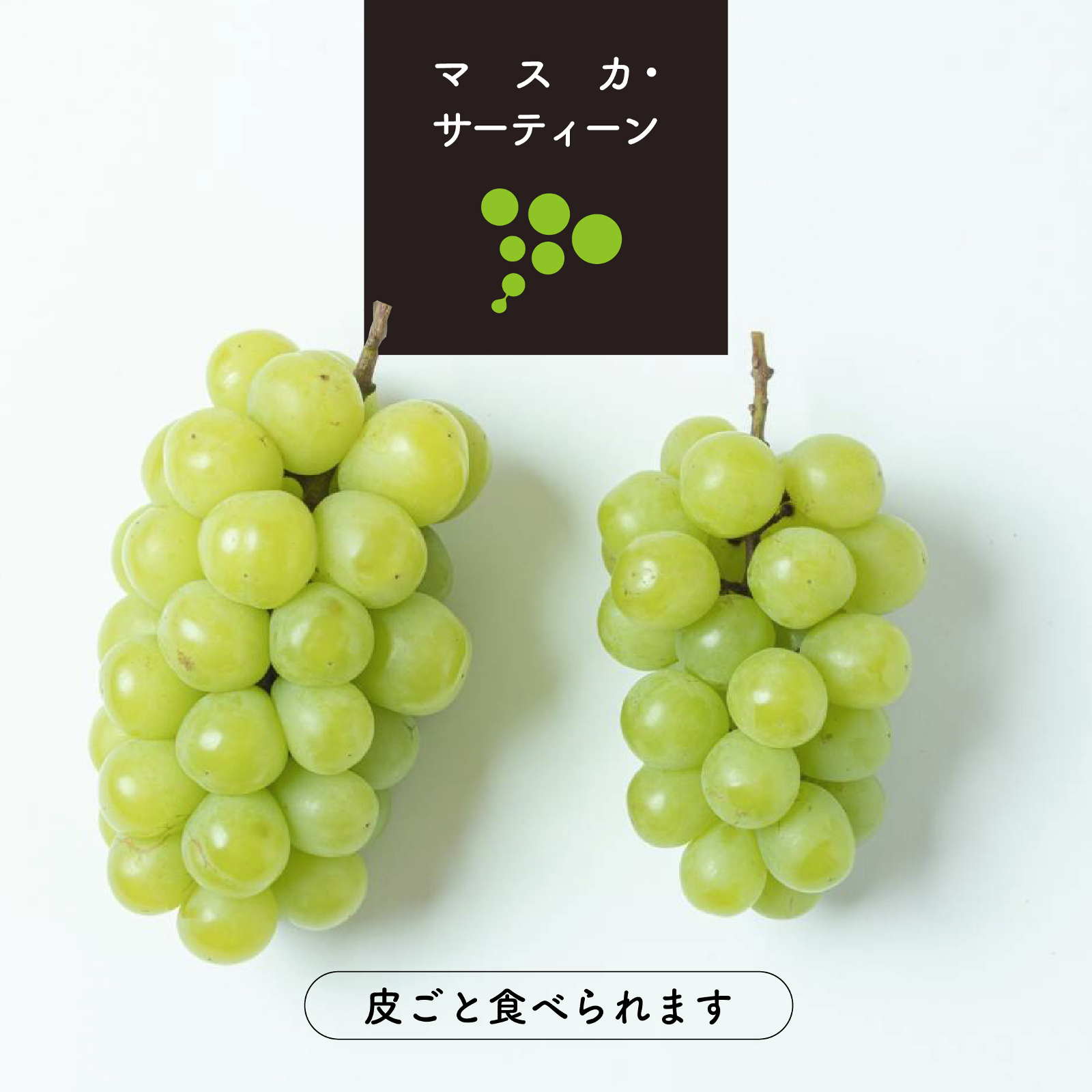 サッパリ甘い「マスカサーティーン」 | 果物/ぶどう 産直アウル 農家