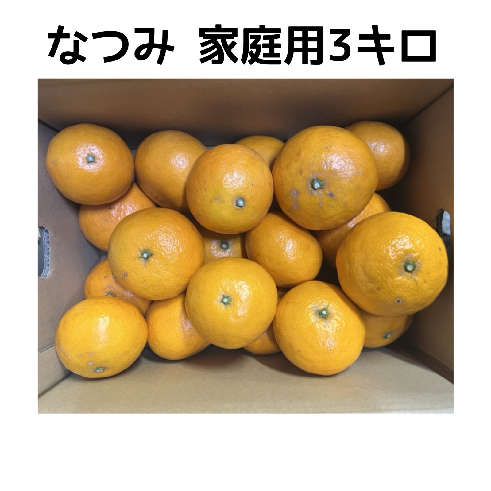 なつみ 家庭用3キロ ｜ 果物/オレンジ・その他みかん 産直アウル 農家
