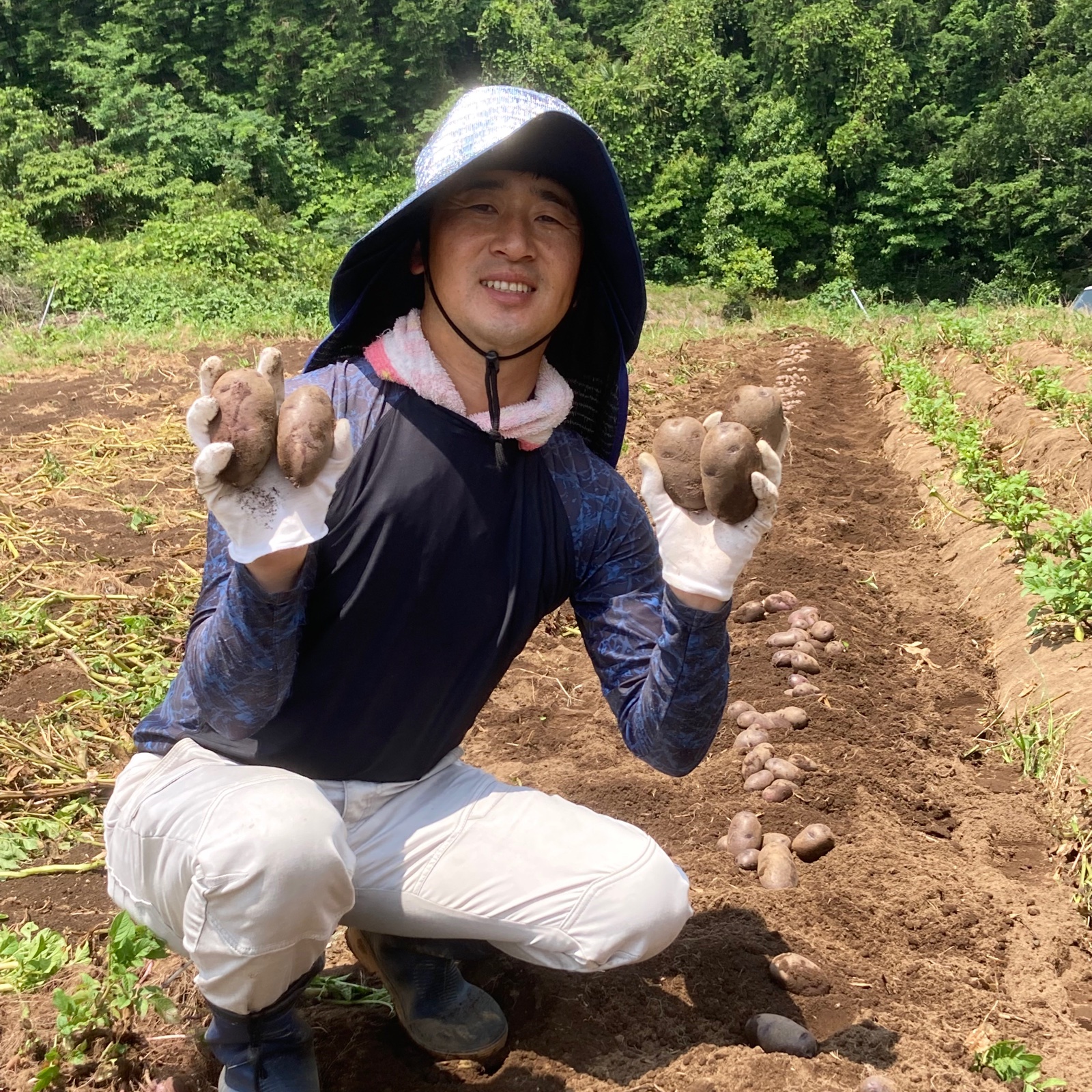 長崎・雲仙のカラフルじゃがいも【タワラマゼラン】5.5kg ｜ 野菜