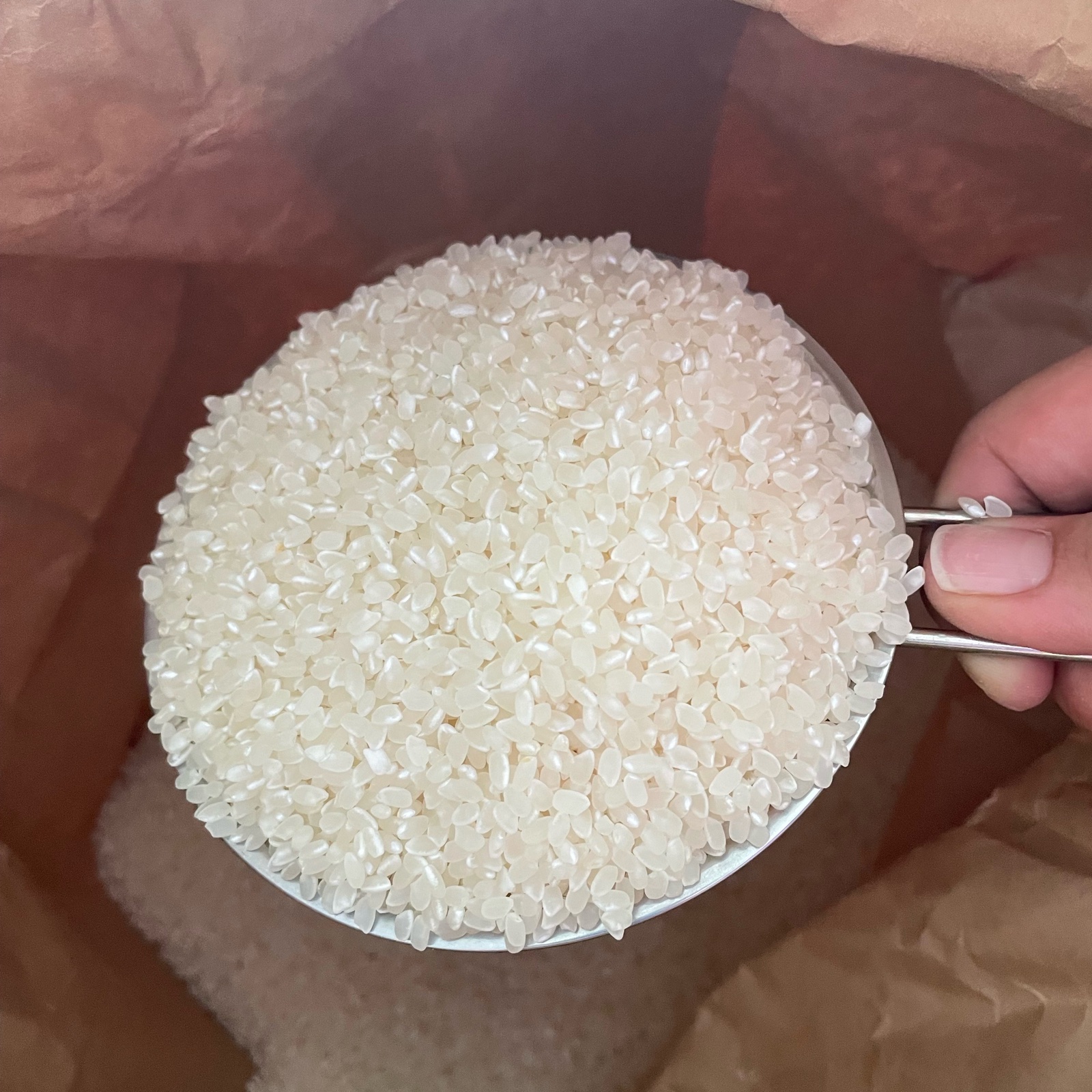 産直！令和6年産【新米】心を込めて古和の米10キロ 島根県浜田市産
