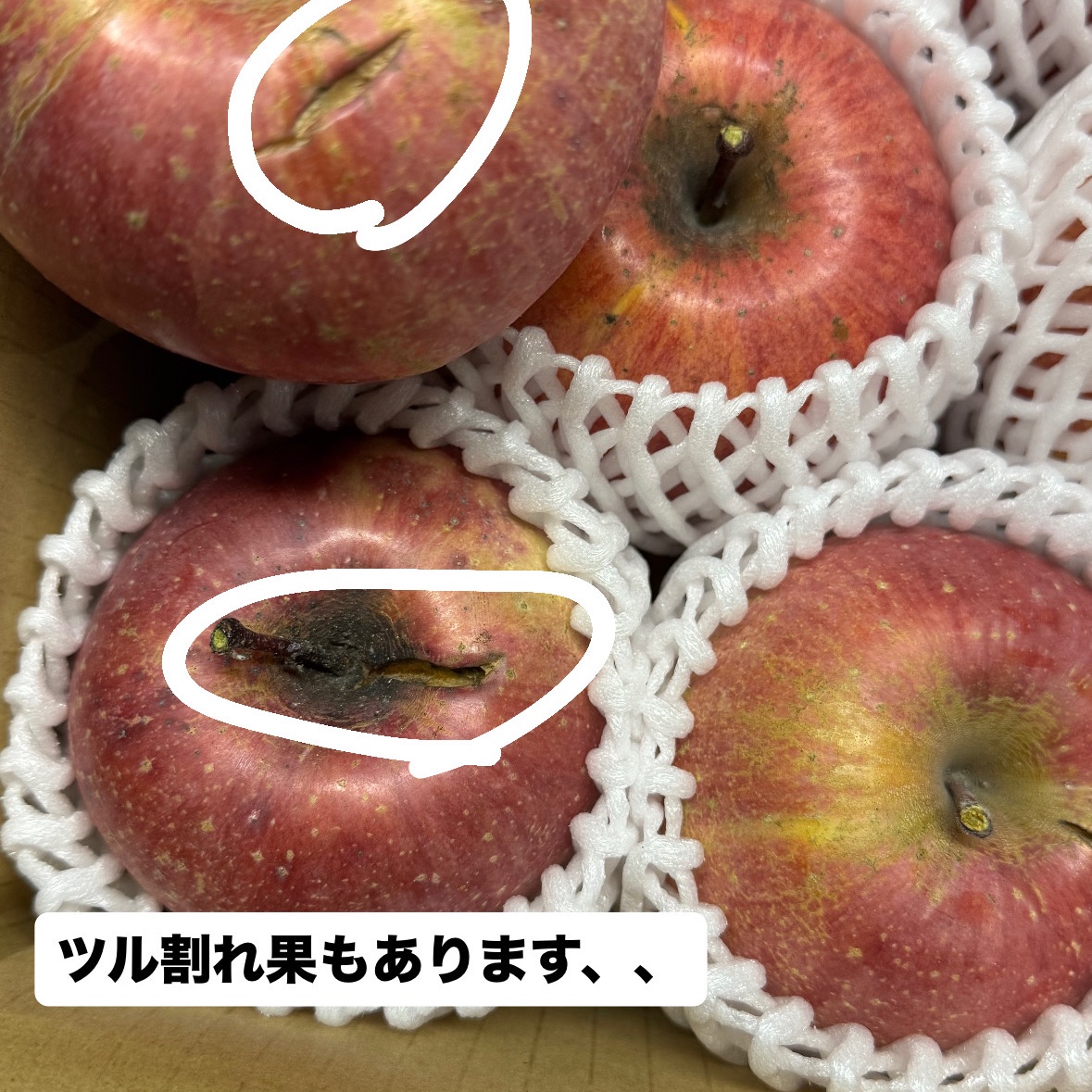 まるちゃん農園🌾農家1年目21歳が作る長野市産！訳ありりんご